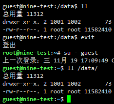 image-20251119171050930
