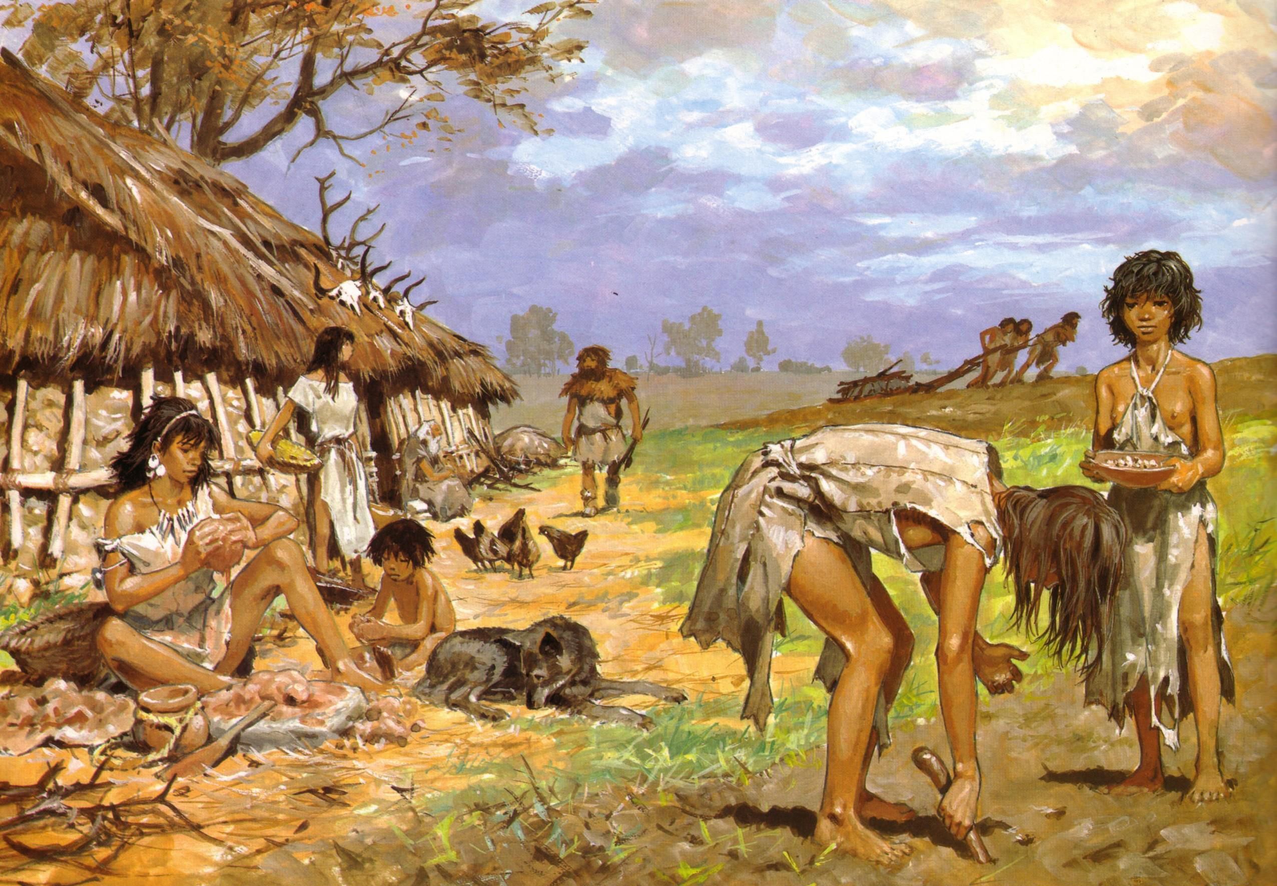Ancient Human