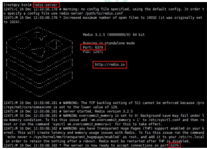 image-20211225232949146