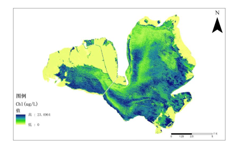 叶绿素浓度分布图