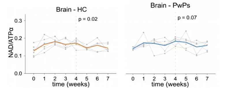 NR会提升大脑NAD+水平（参考资料[1]）