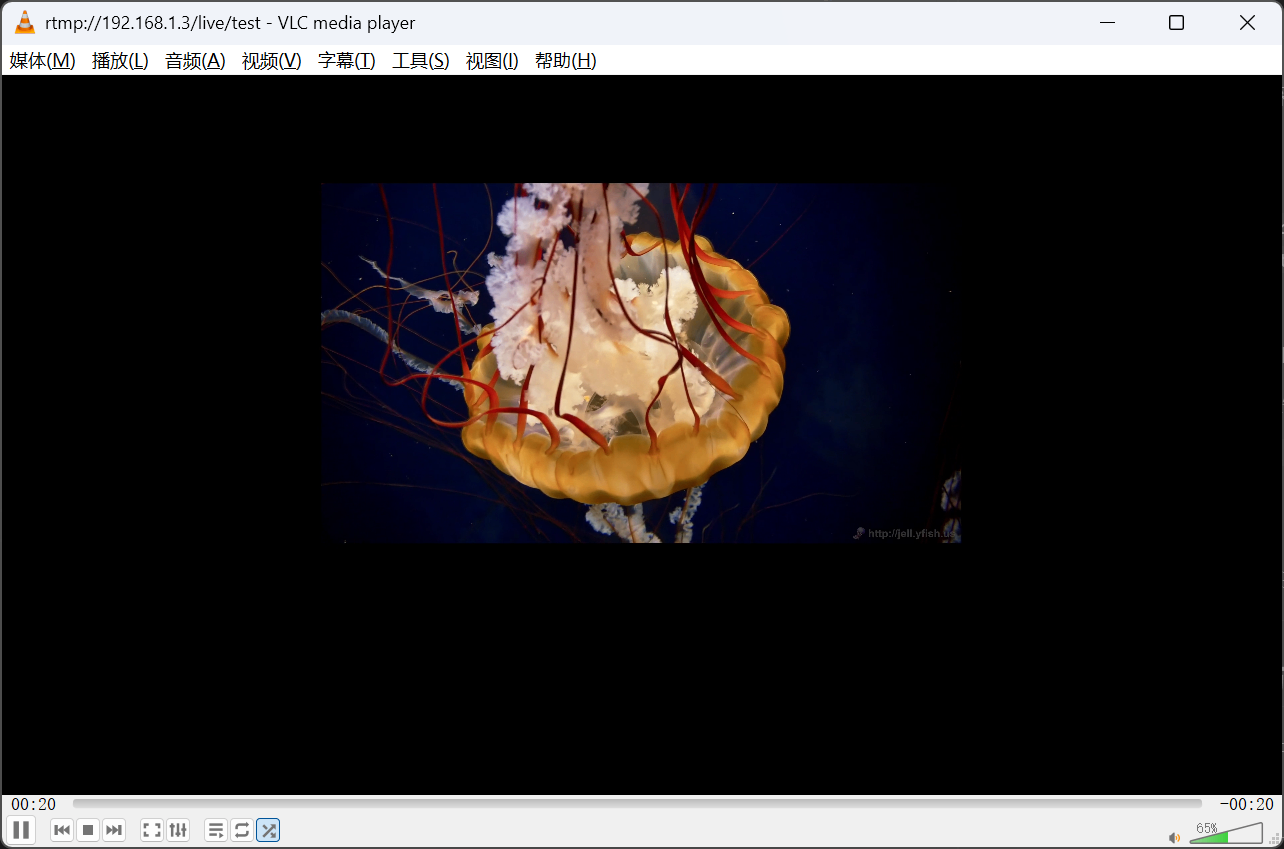 VLC 播放器成功播放画面