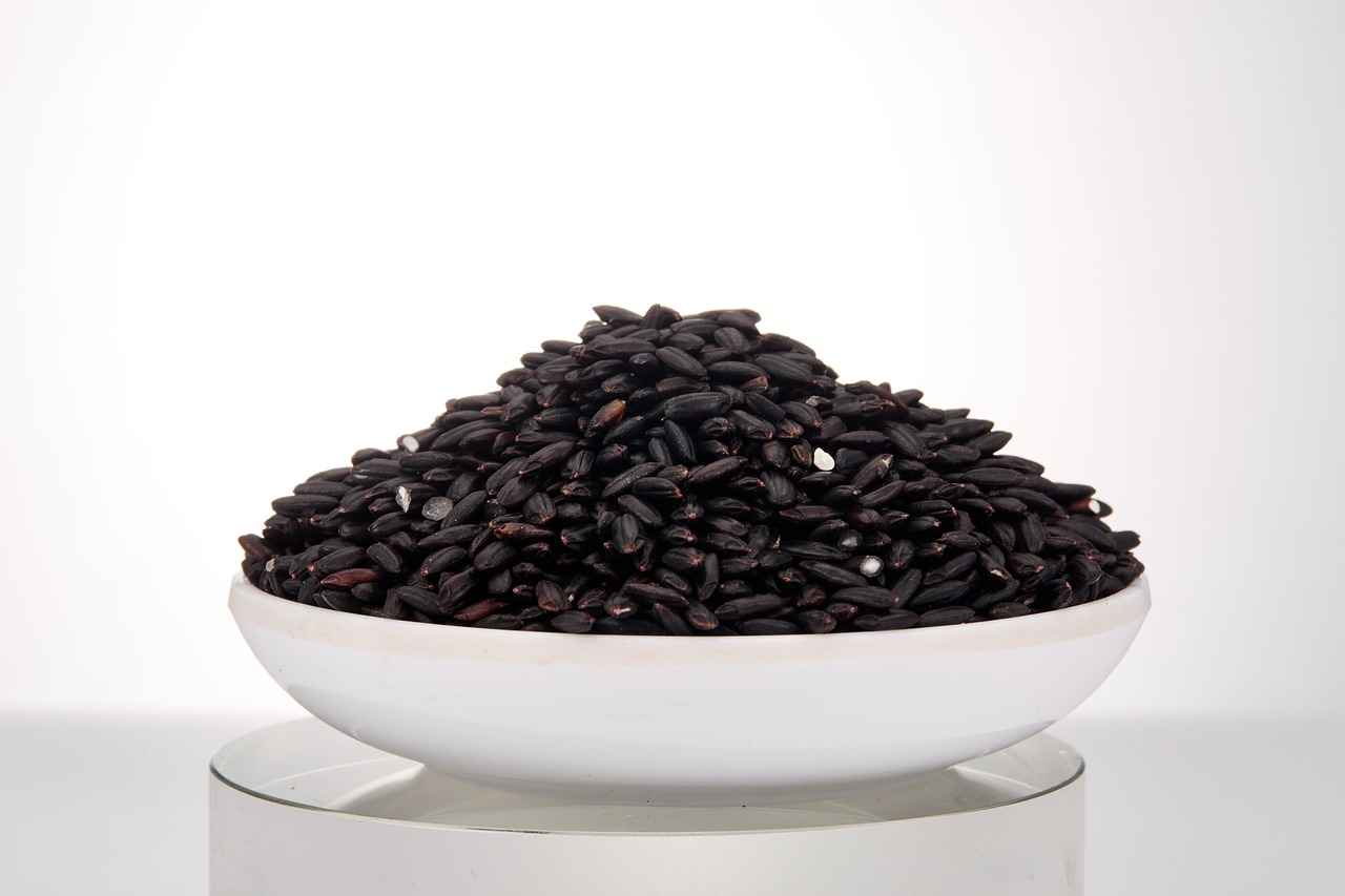 黑枸杞（via pixabay）