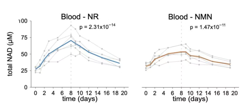 NR比NMN更容易提高血液中的NAD+水平（参考资料[1]）