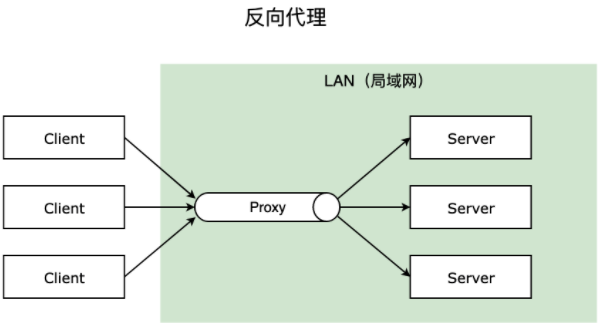 image-20200521214557656