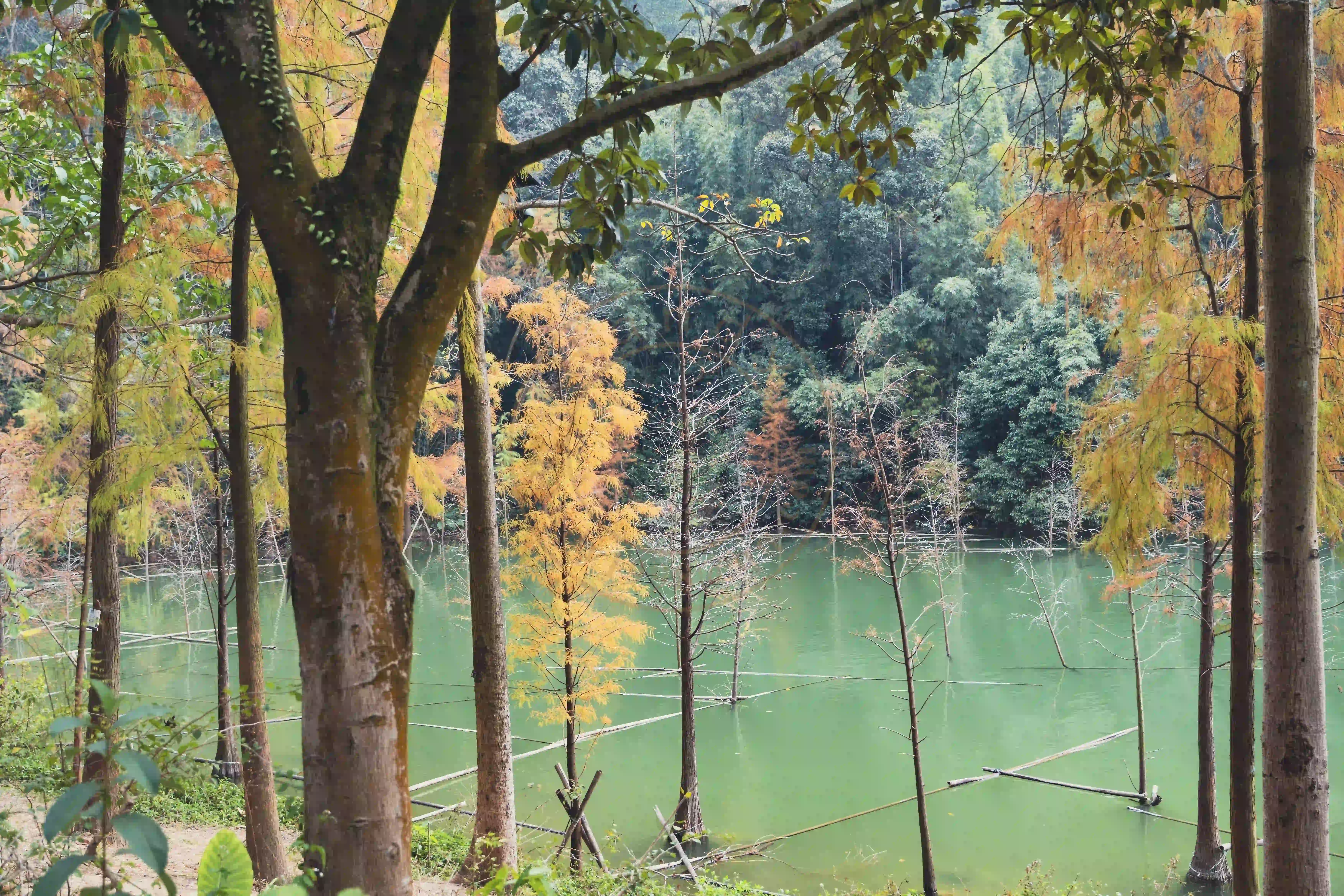 <h2 class='text-xl text-white'>水库一隅</h2>