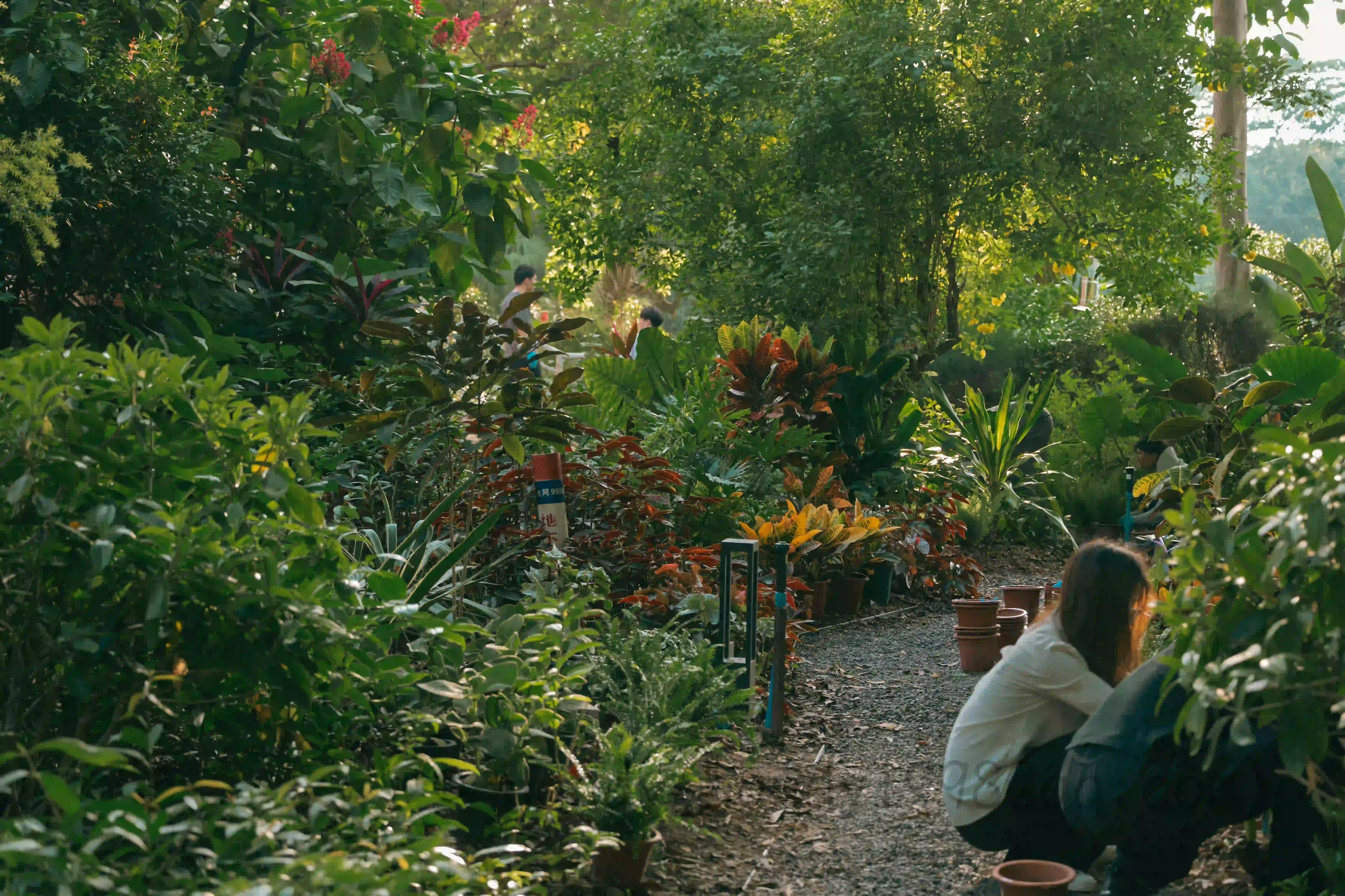 <h2 class='text-xl text-white'>花园种花</h2>