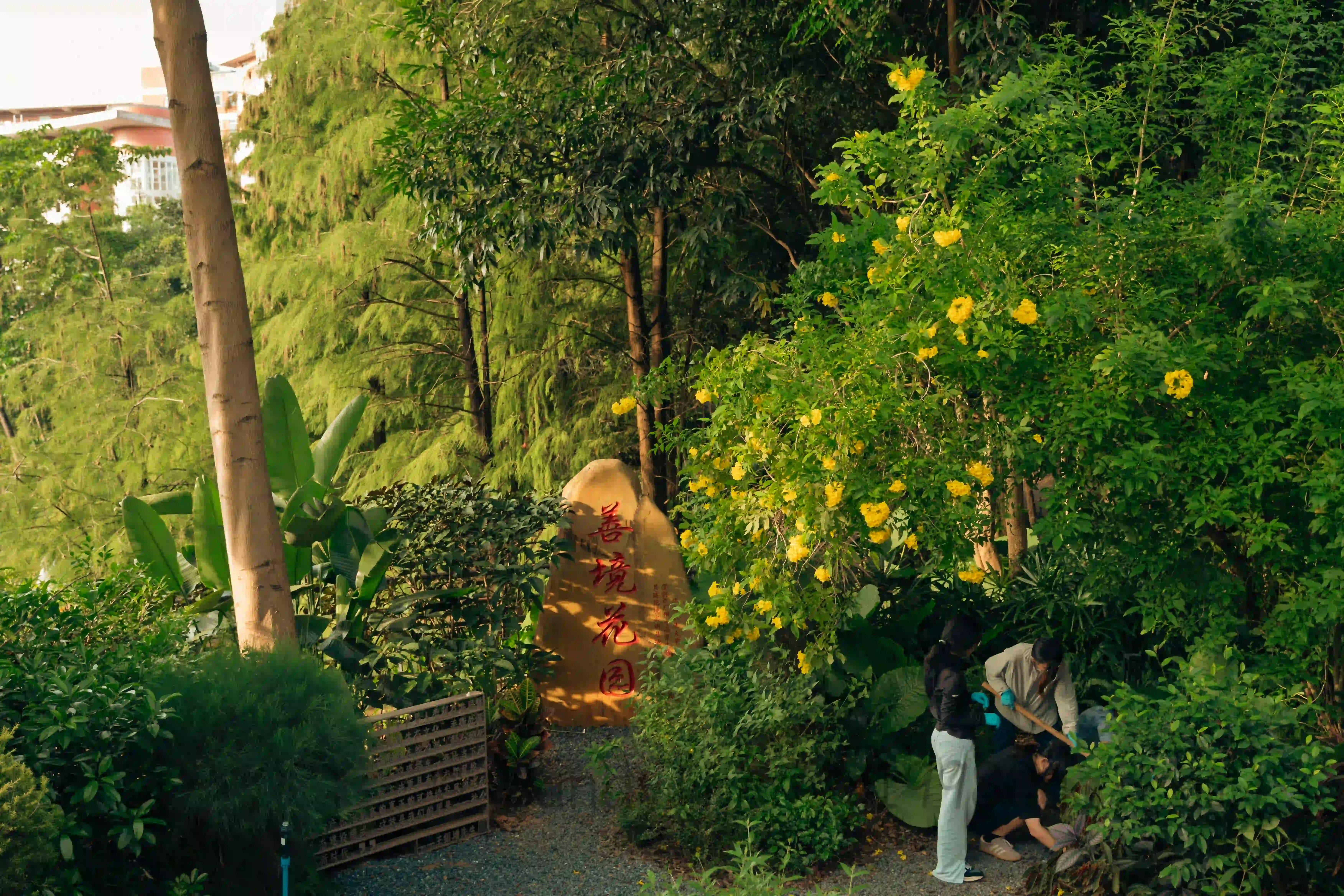 <h2 class='text-xl text-white'>小径叫做善境花园</h2>