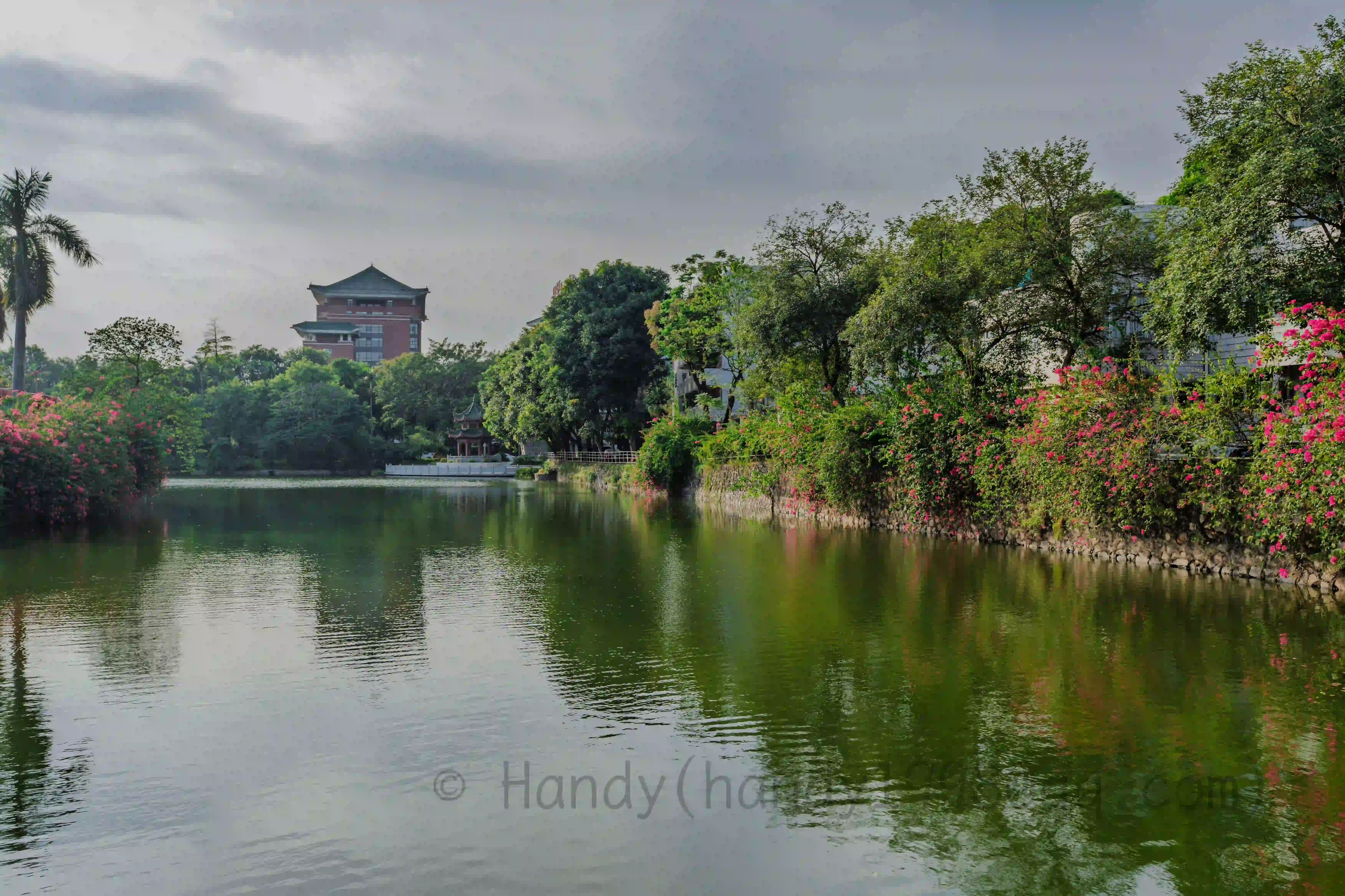 <h2 class='text-xl text-white'>医院旁边的湖</h2>