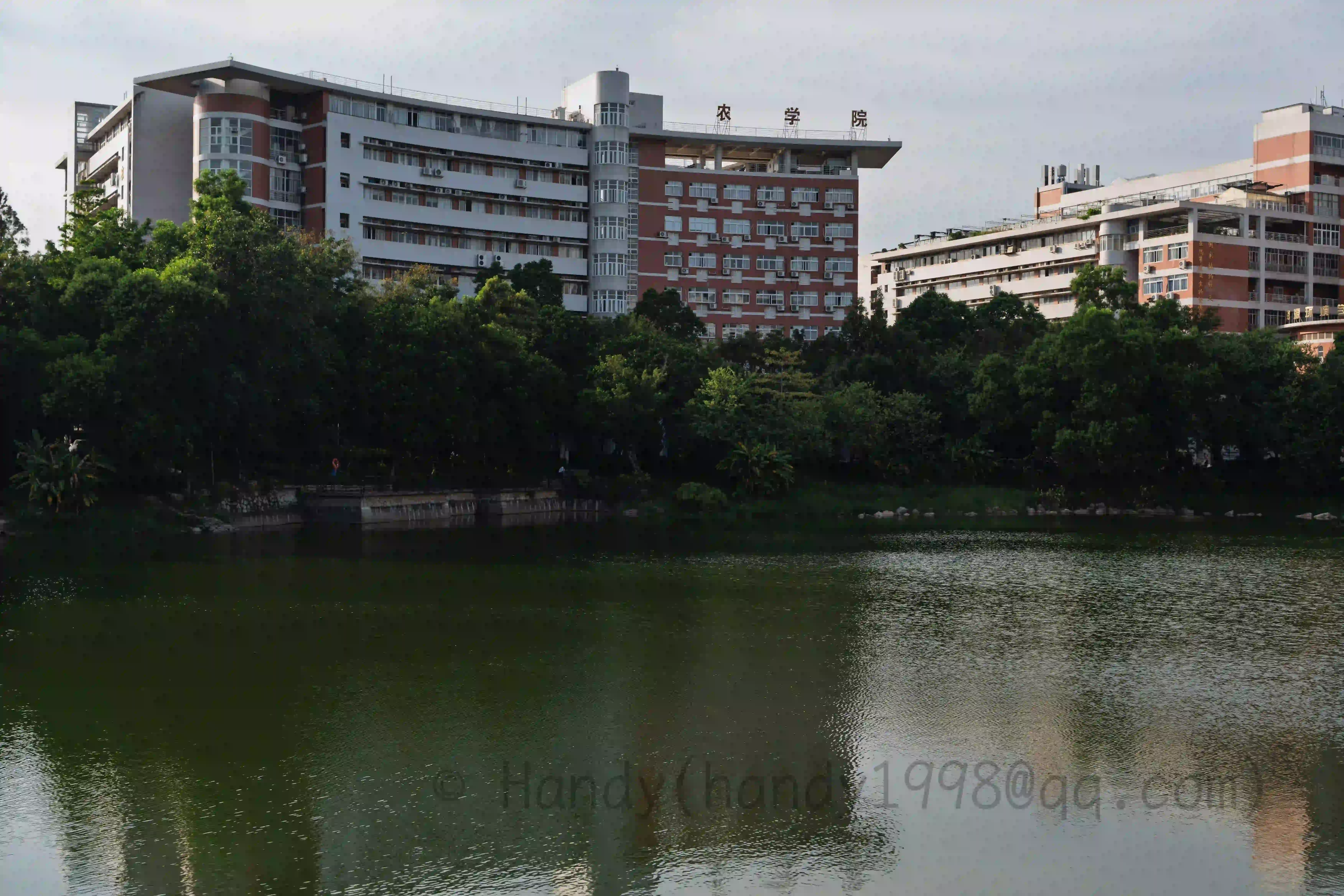 <h2 class='text-xl text-white'>农学院与昭阳湖</h2>看一所大学哪个学科最牛，就看它的主楼
