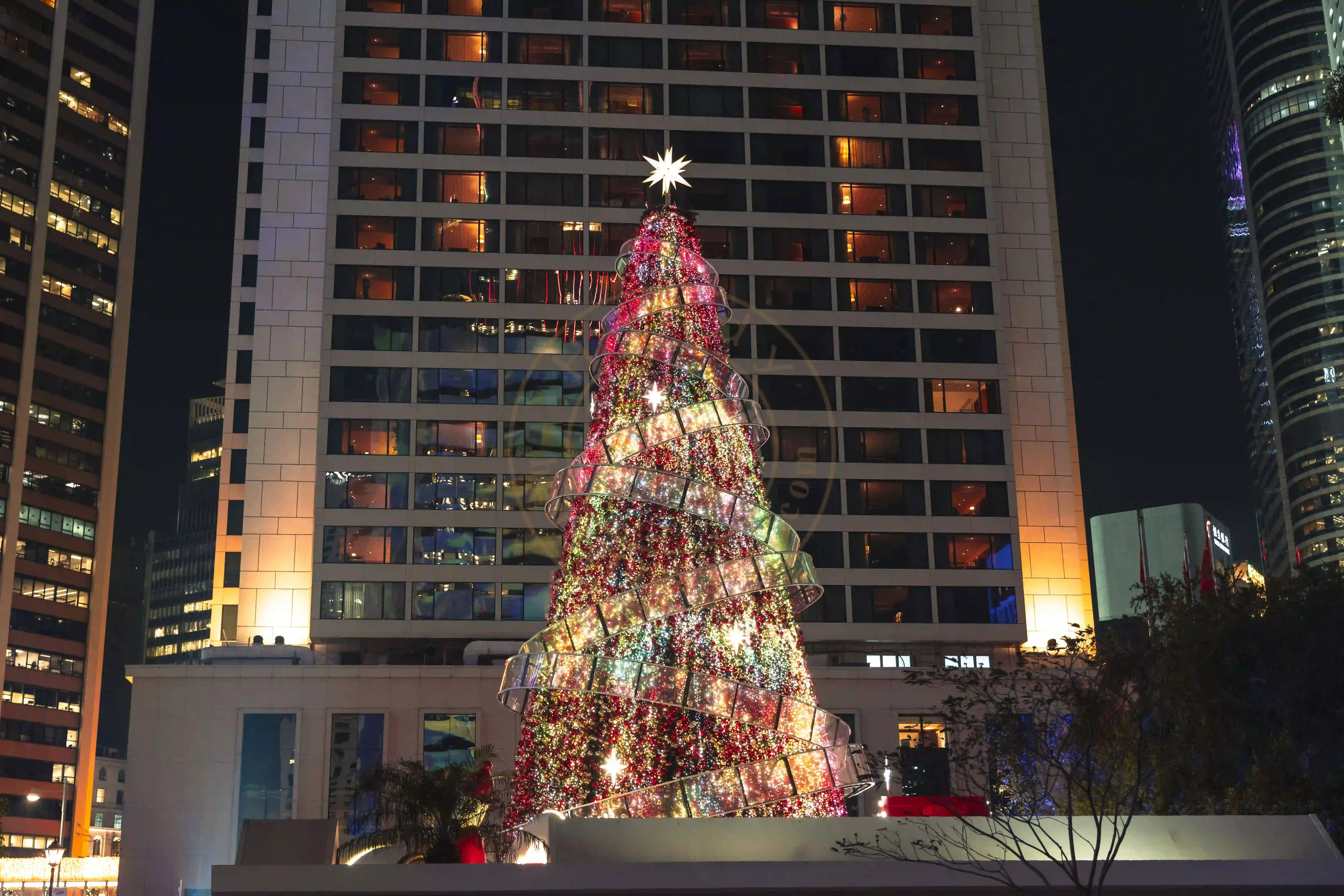 <h2 class='text-xl text-white'>离去前最后一眼圣诞树</h2>