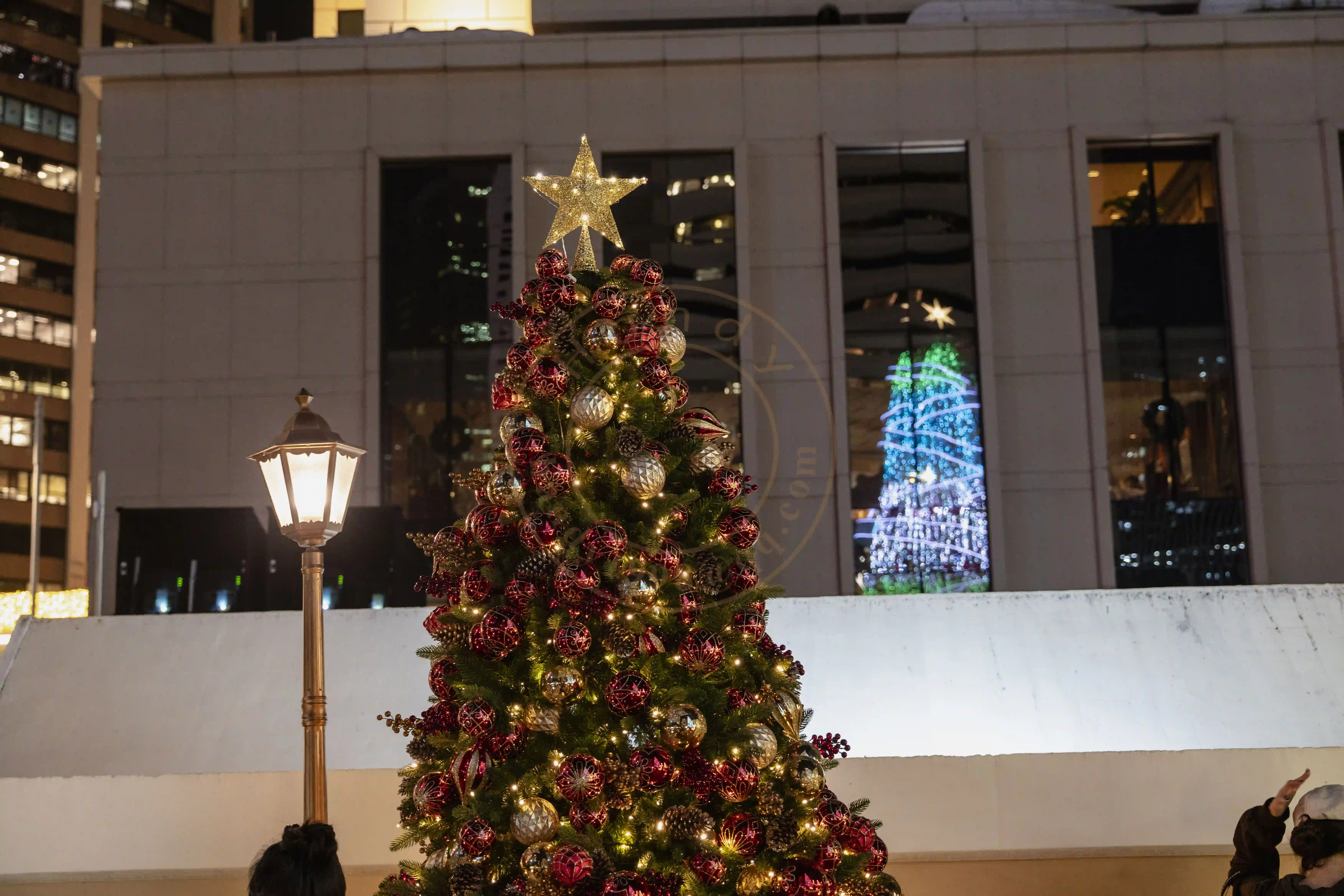 <h2 class='text-xl text-white'>圣诞树与反射圣诞树</h2>