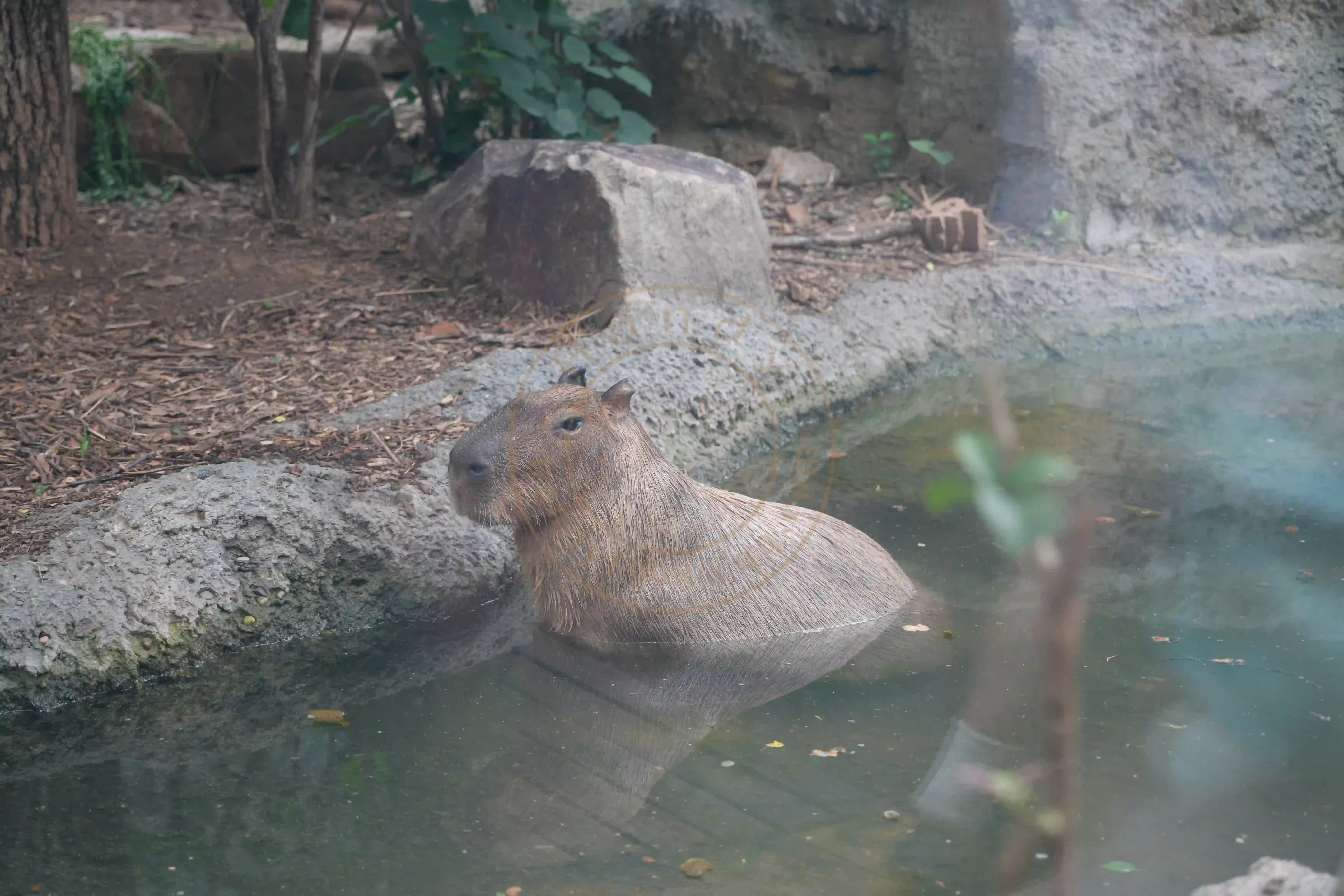 <h2 class='text-xl text-white'></h2>