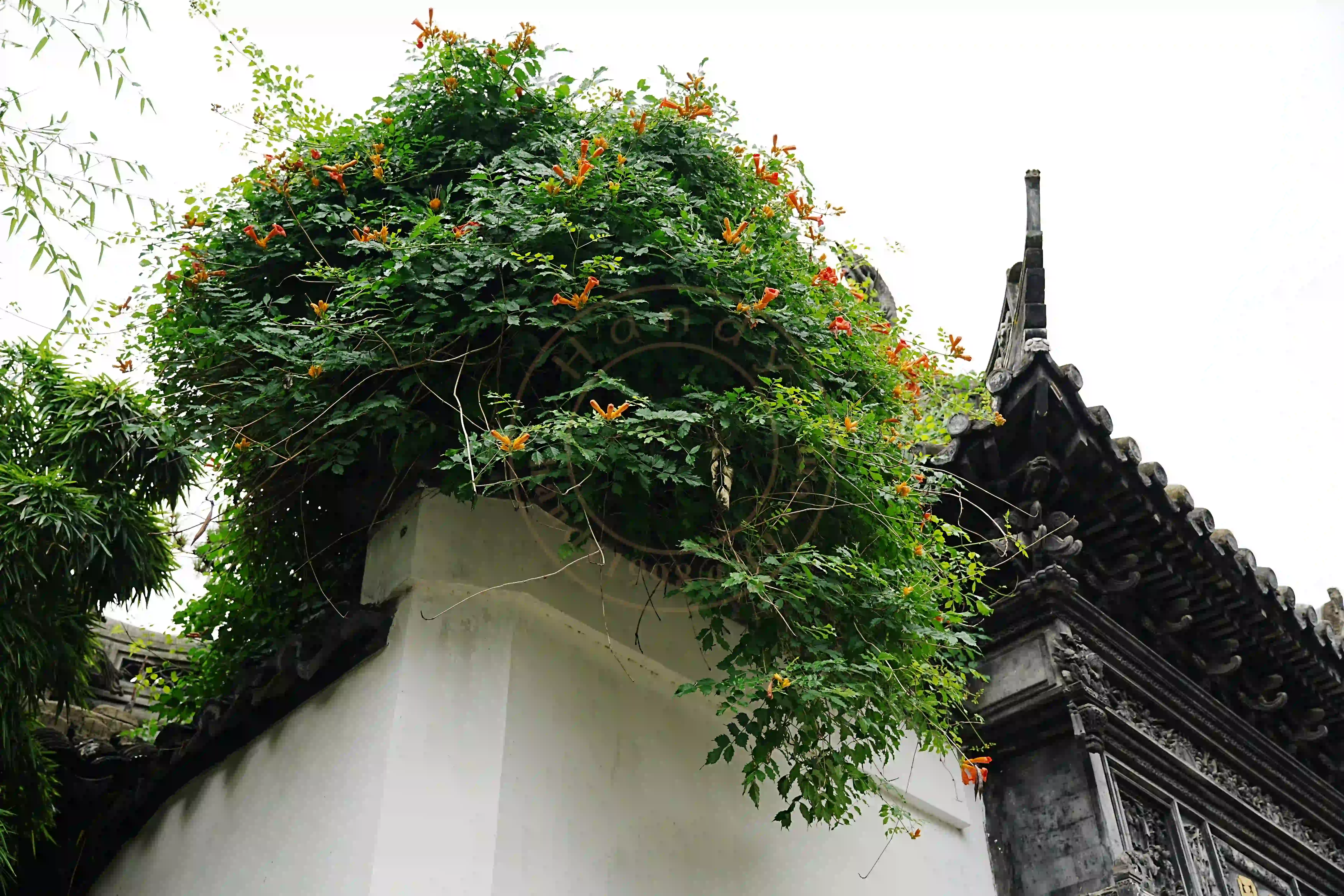 <h2 class='text-xl text-white'></h2>