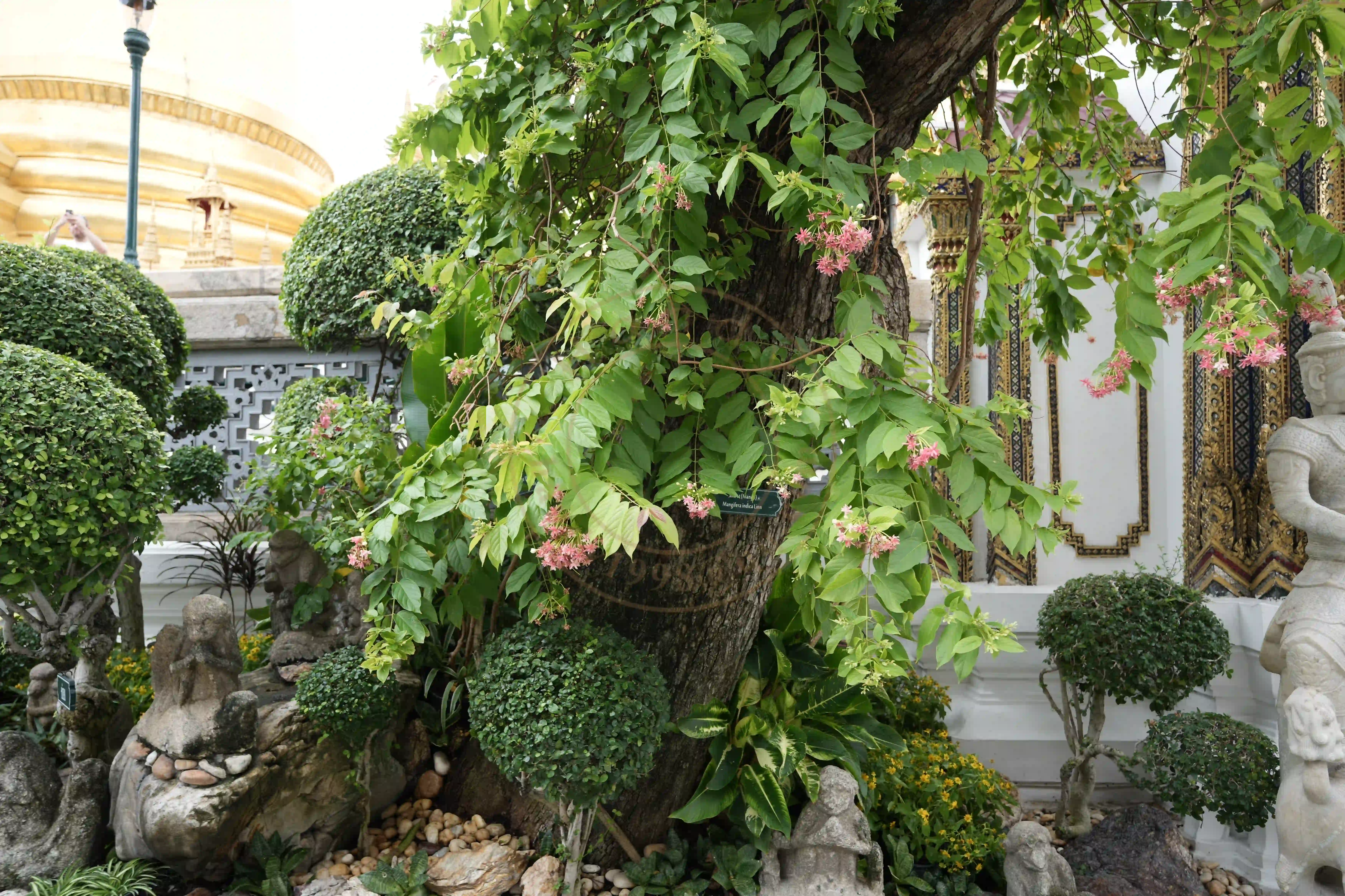 <h2 class='text-xl text-white'></h2>