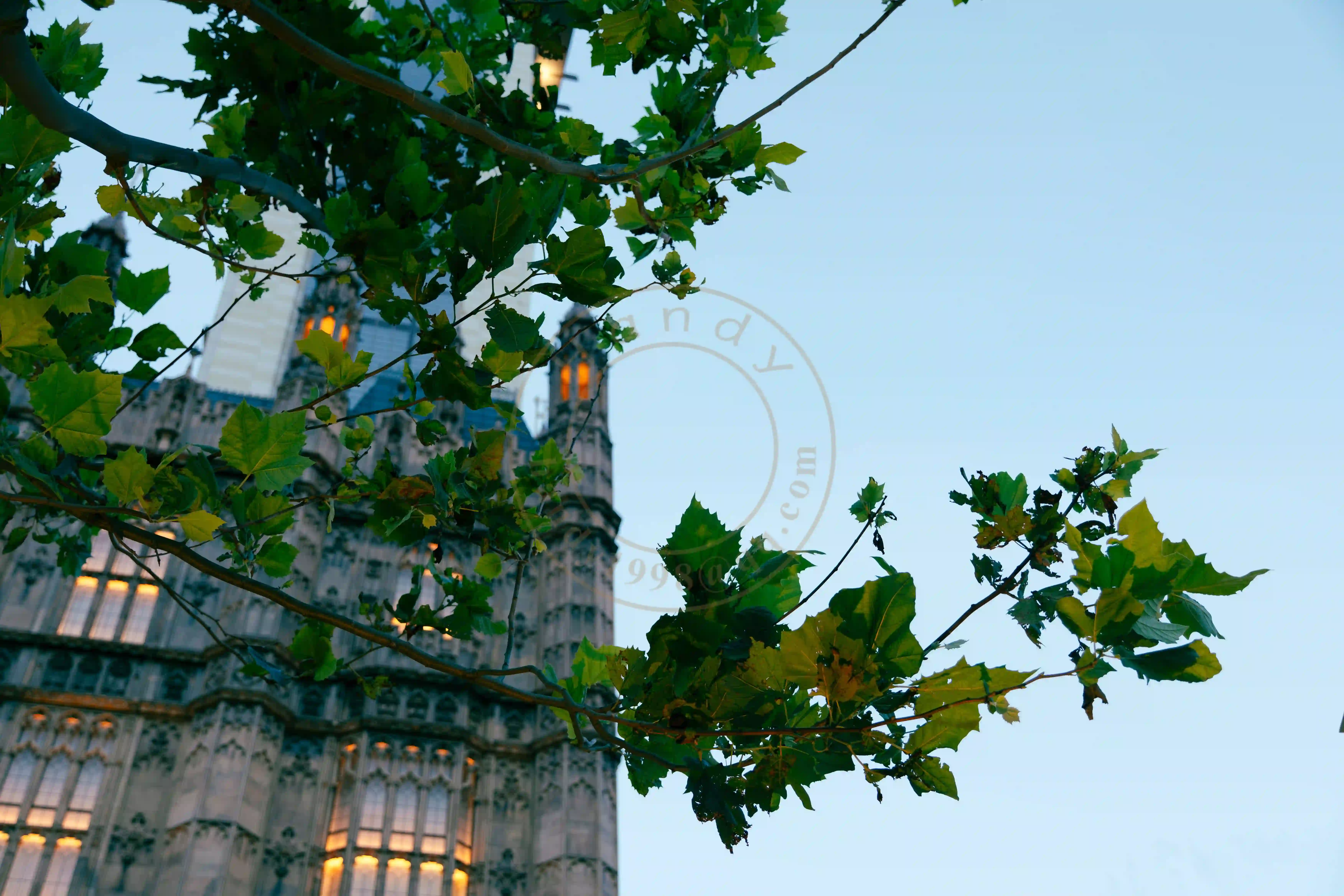 <h2 class='text-xl text-white'></h2>