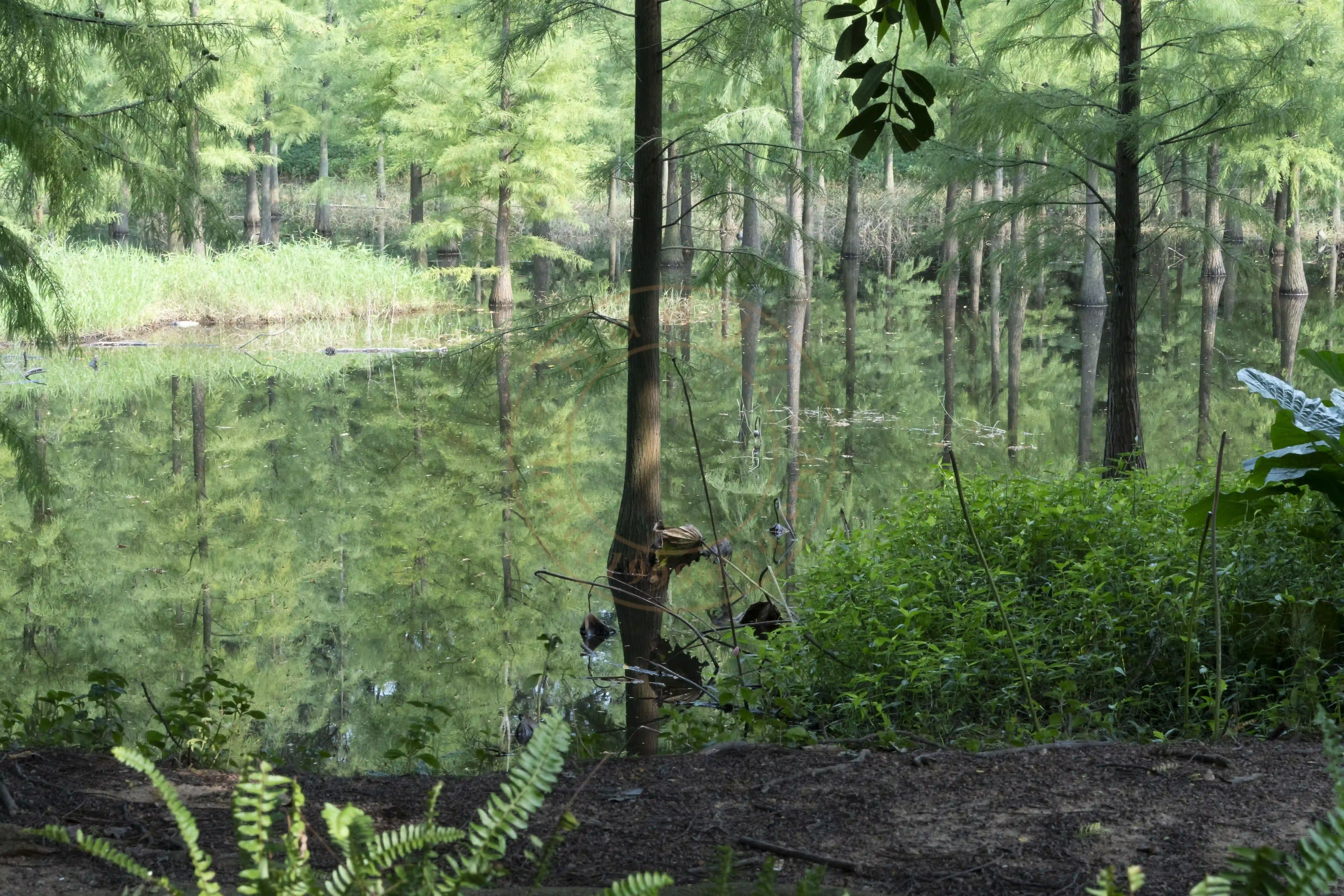 <h2 class='text-xl text-white'></h2>