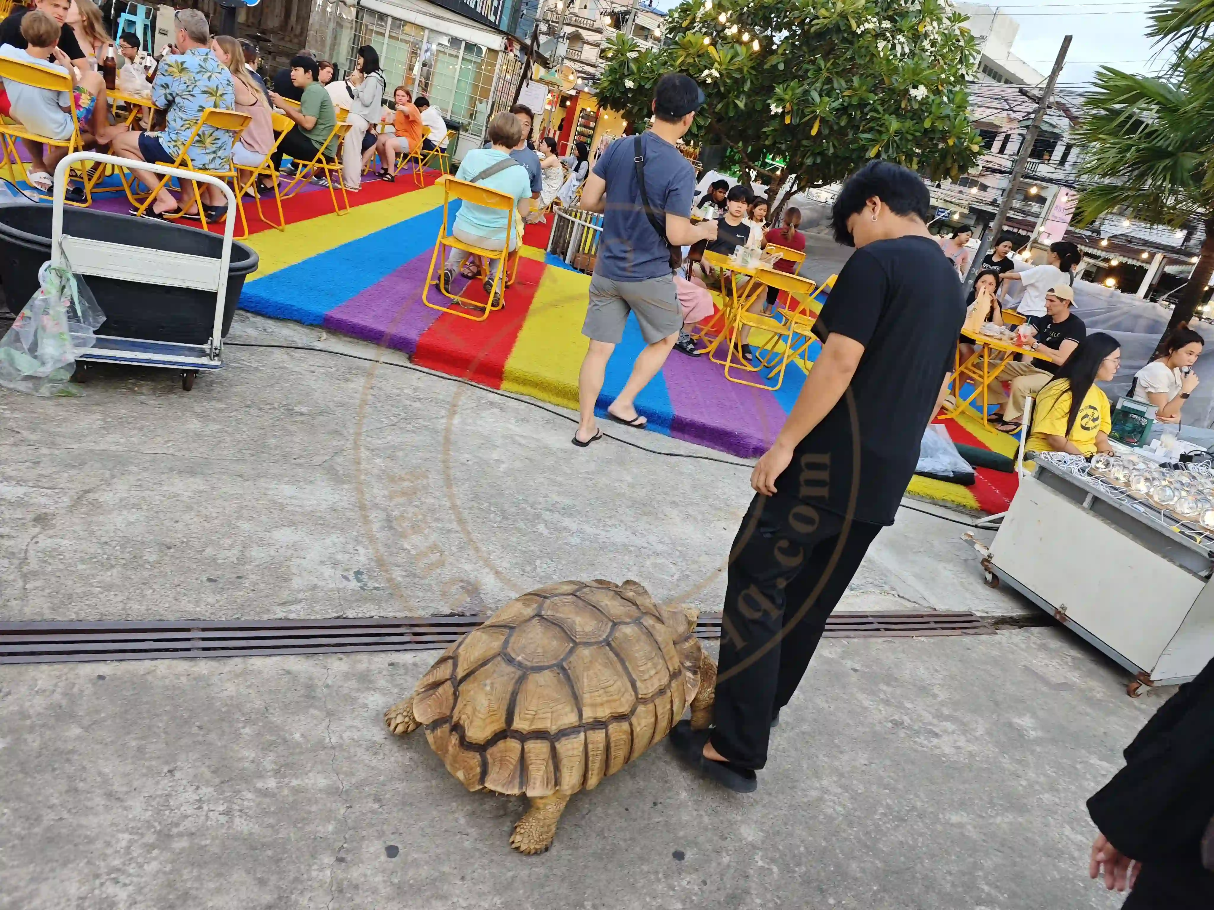 <h2 class='text-xl text-white'></h2>