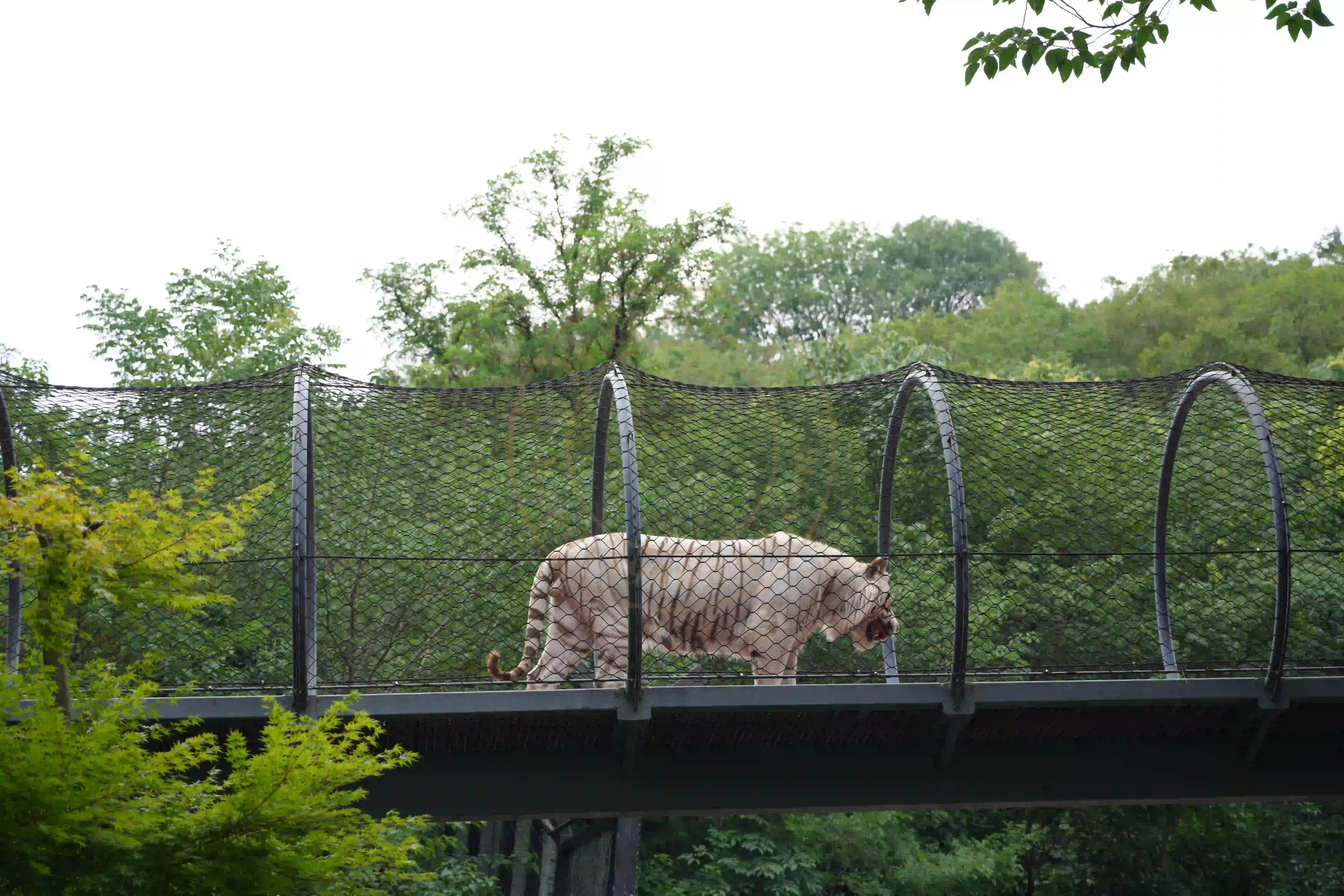 <h2 class='text-xl text-white'></h2>