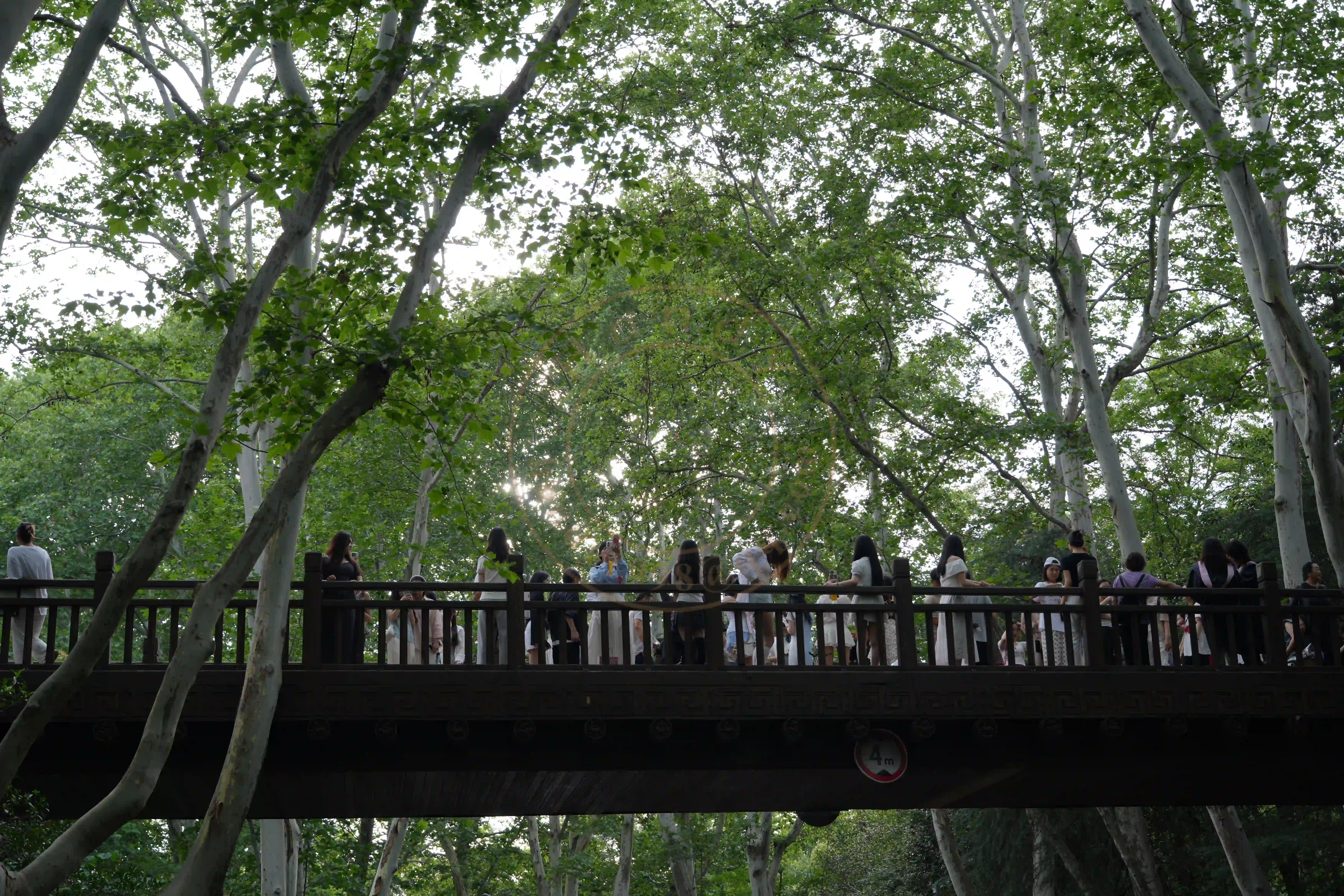 <h2 class='text-xl text-white'></h2>