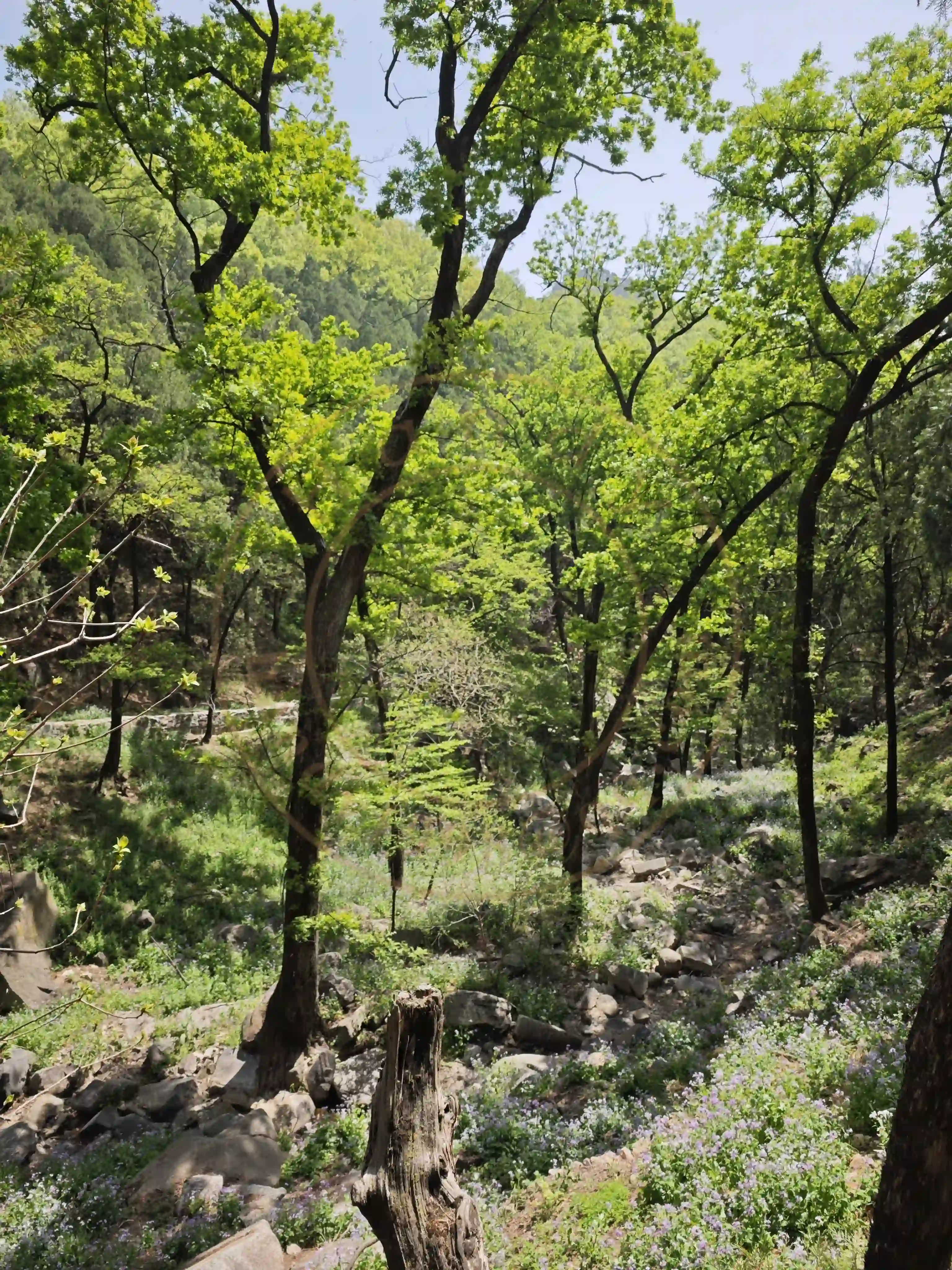 <h2 class='text-xl text-white'></h2>