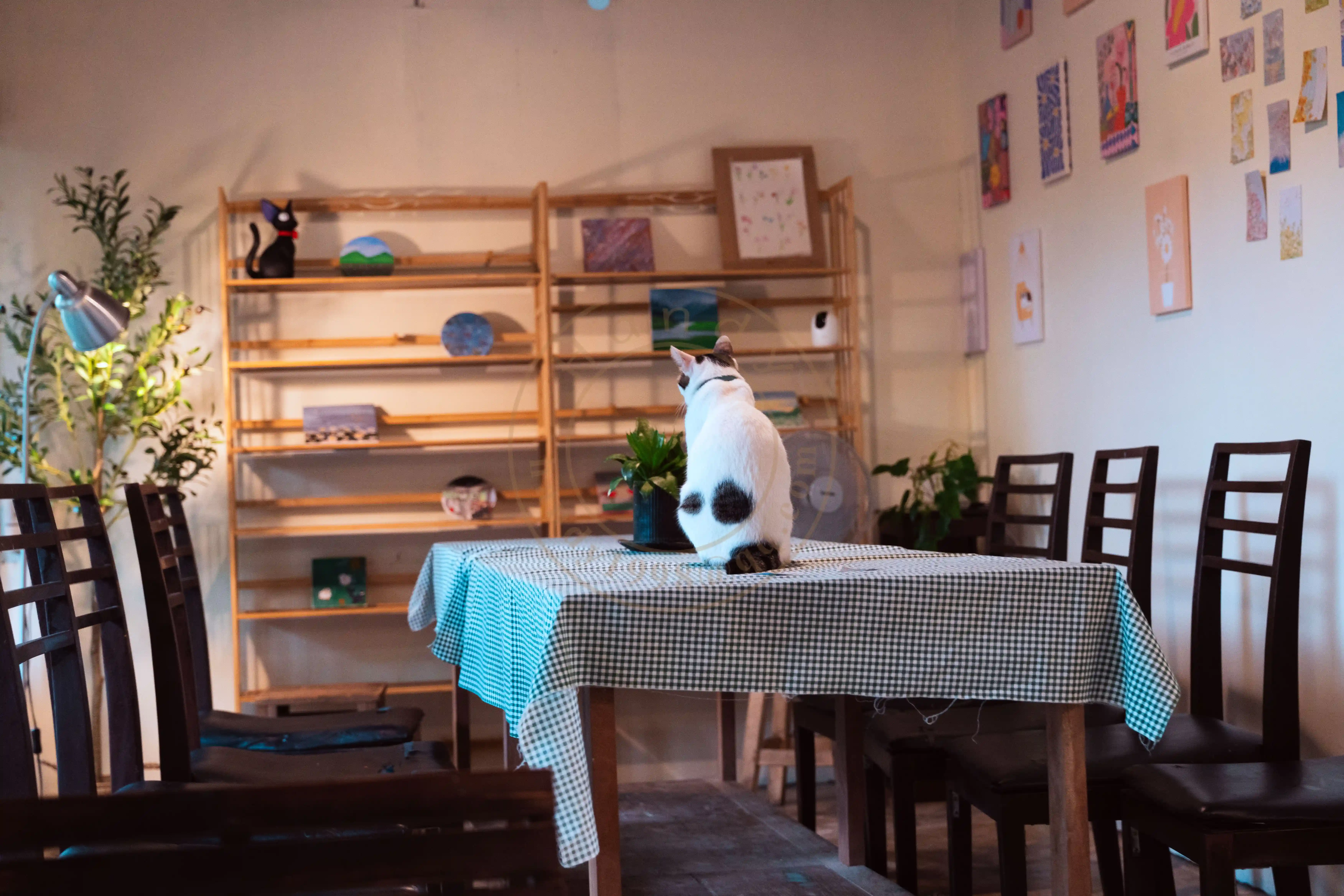 <h2 class='text-xl text-white'></h2>