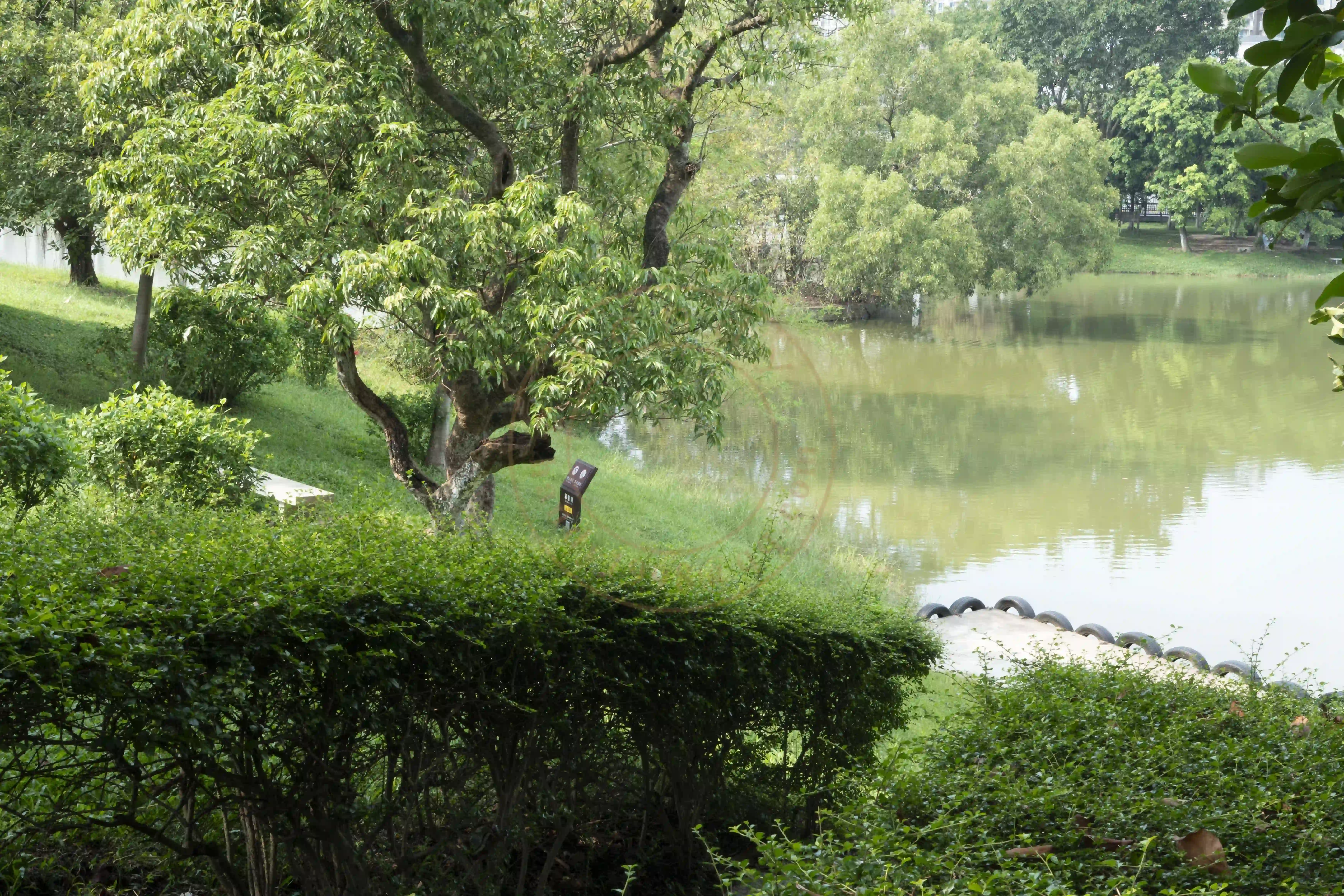 <h2 class='text-xl text-white'></h2>