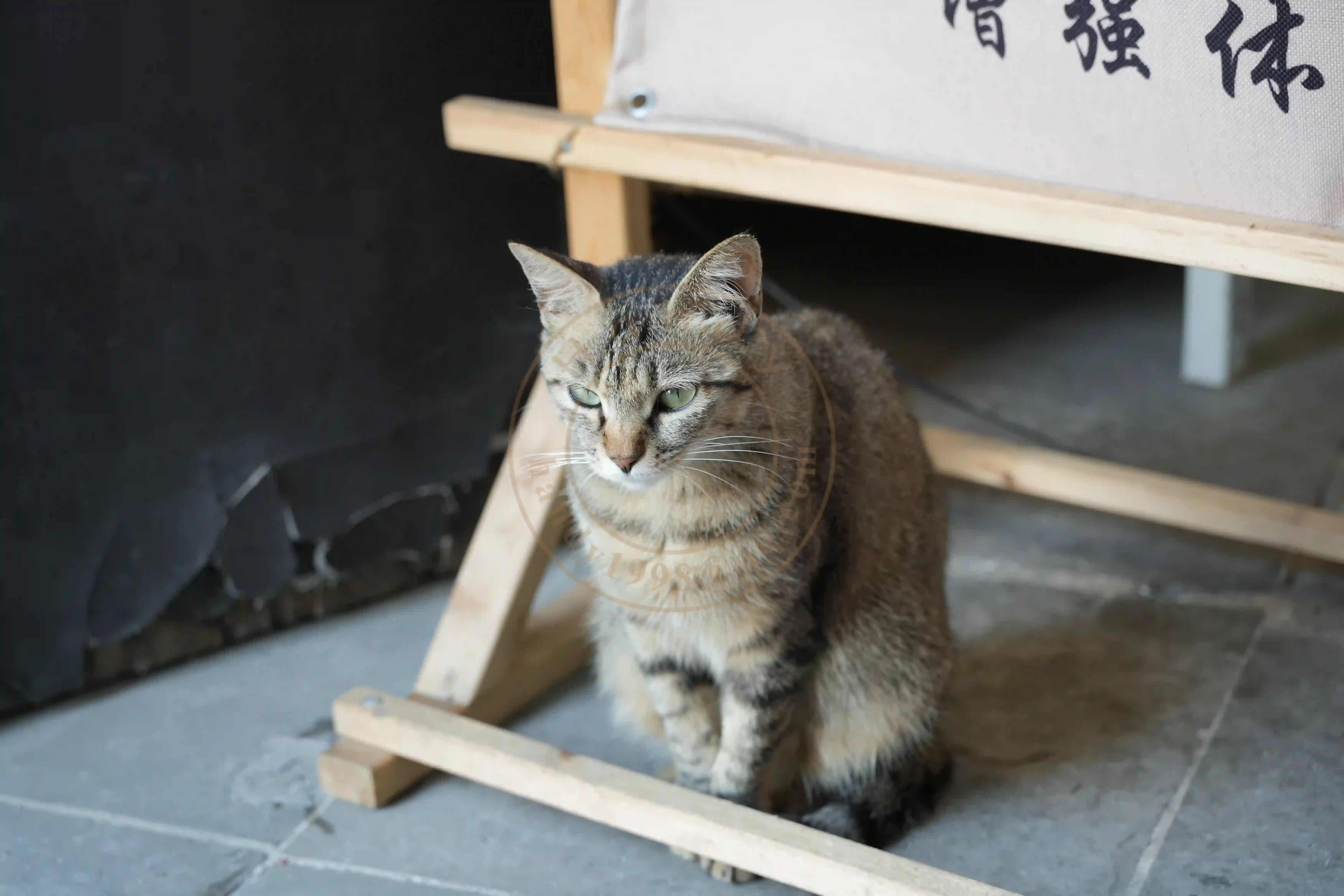 <h2 class='text-xl text-white'></h2>