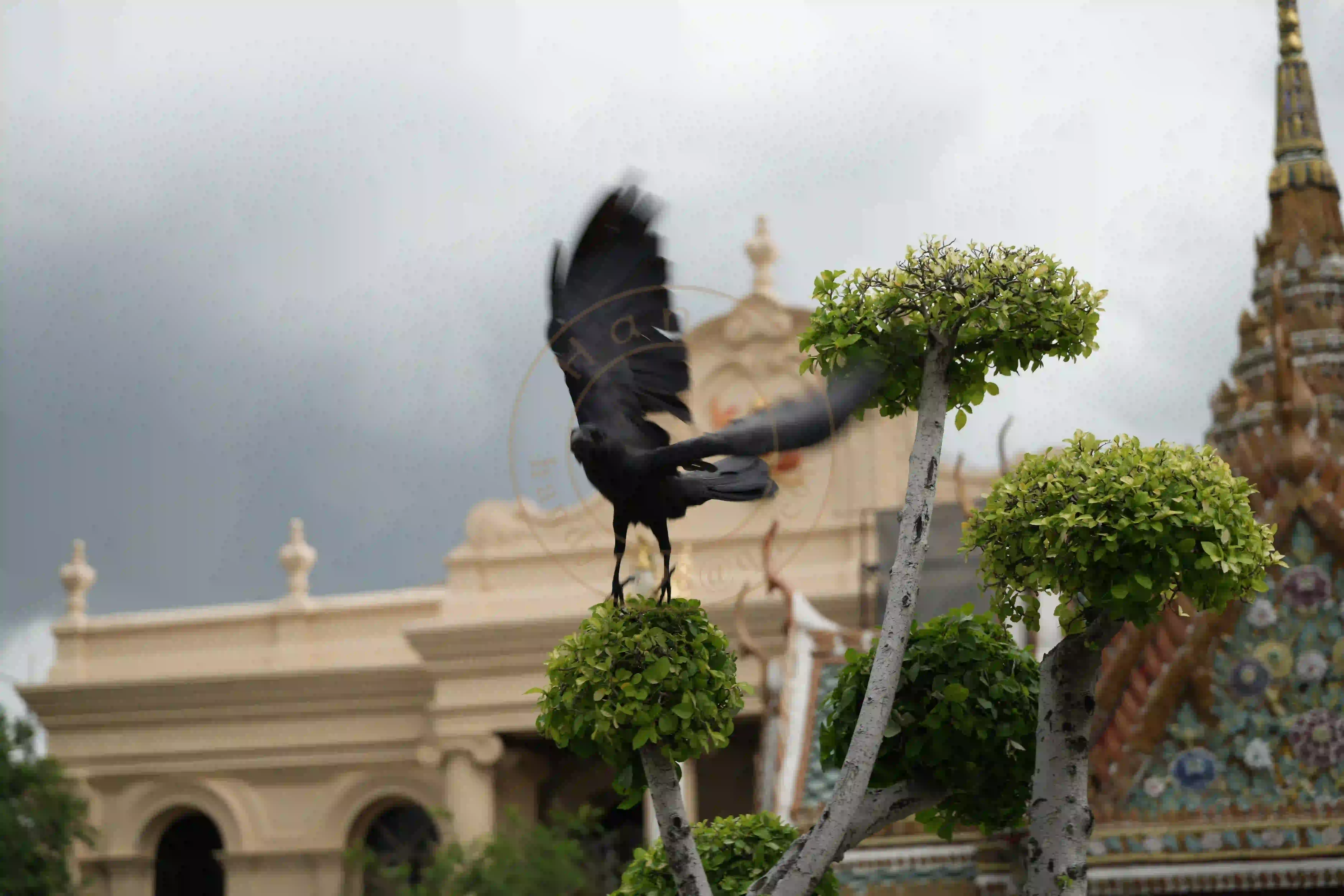 <h2 class='text-xl text-white'></h2>