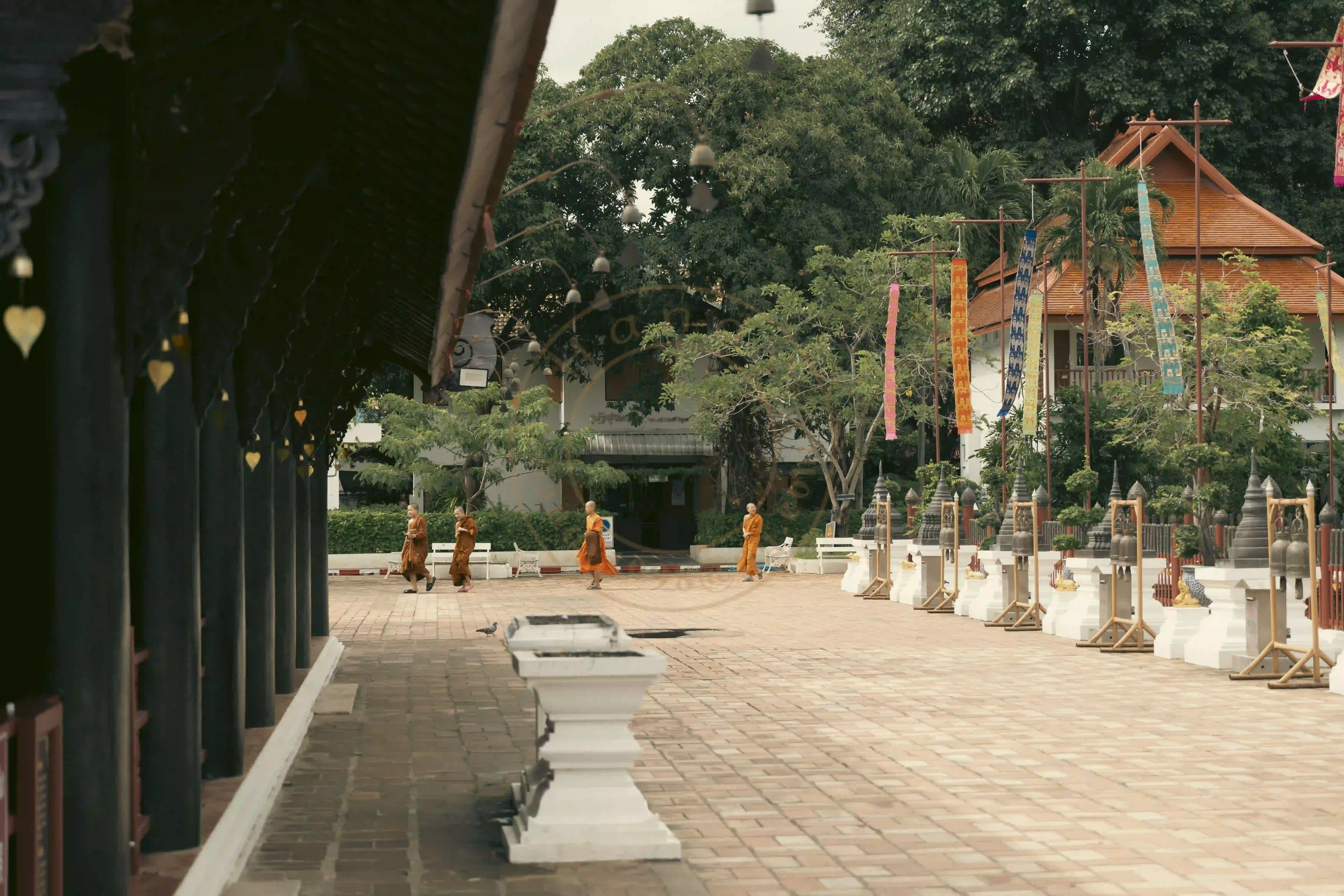 <h2 class='text-xl text-white'></h2>