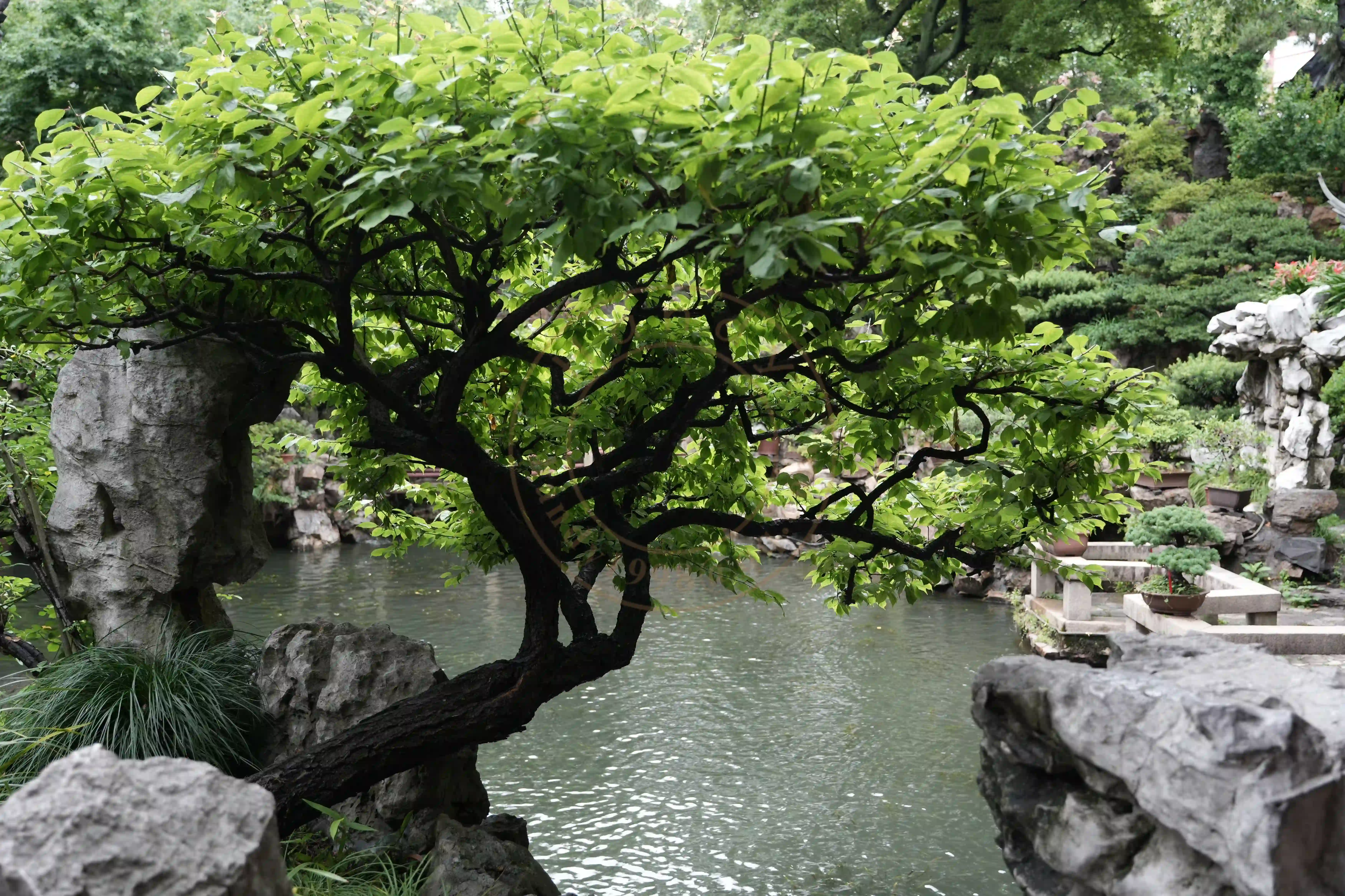 <h2 class='text-xl text-white'></h2>