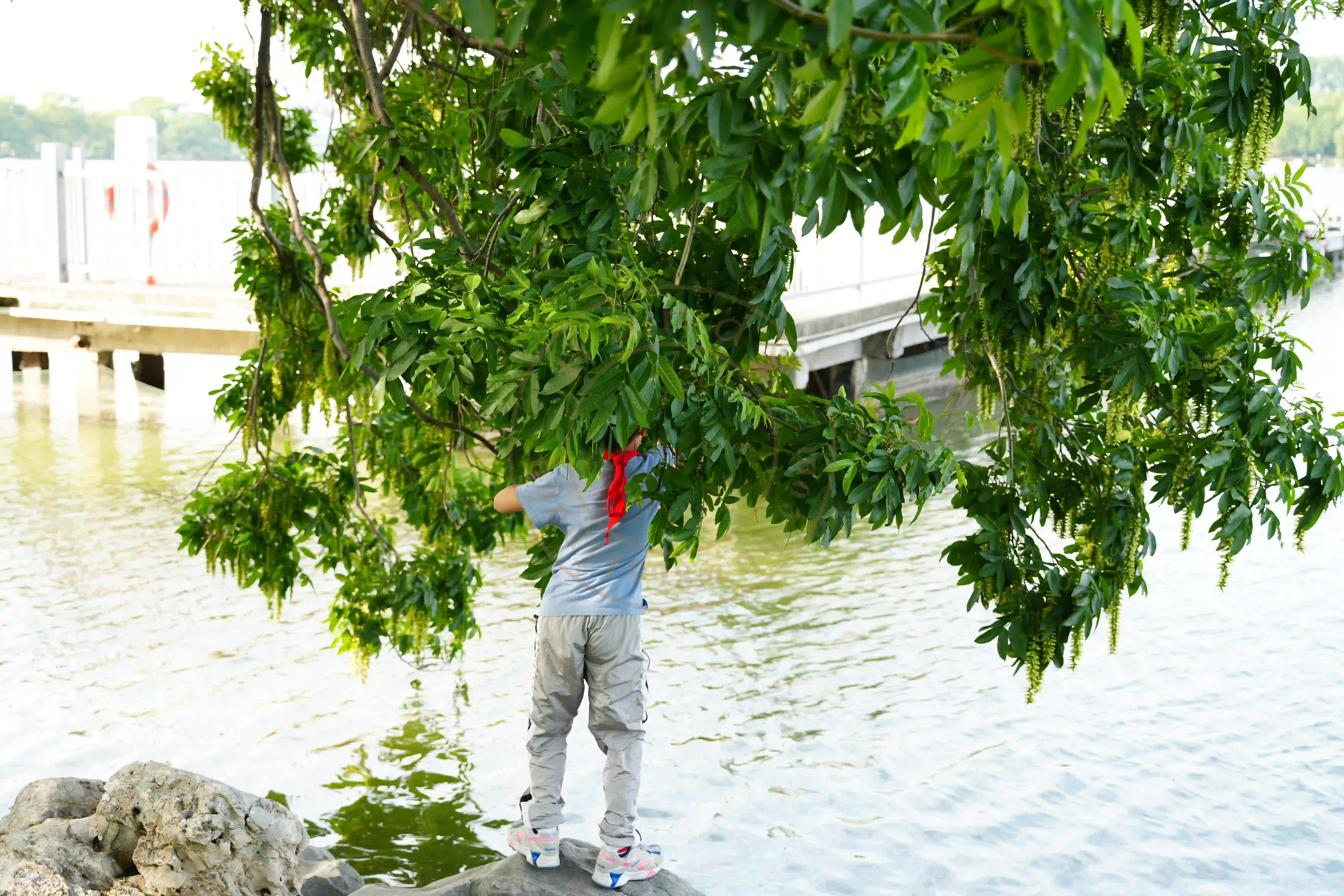 <h2 class='text-xl text-white'></h2>