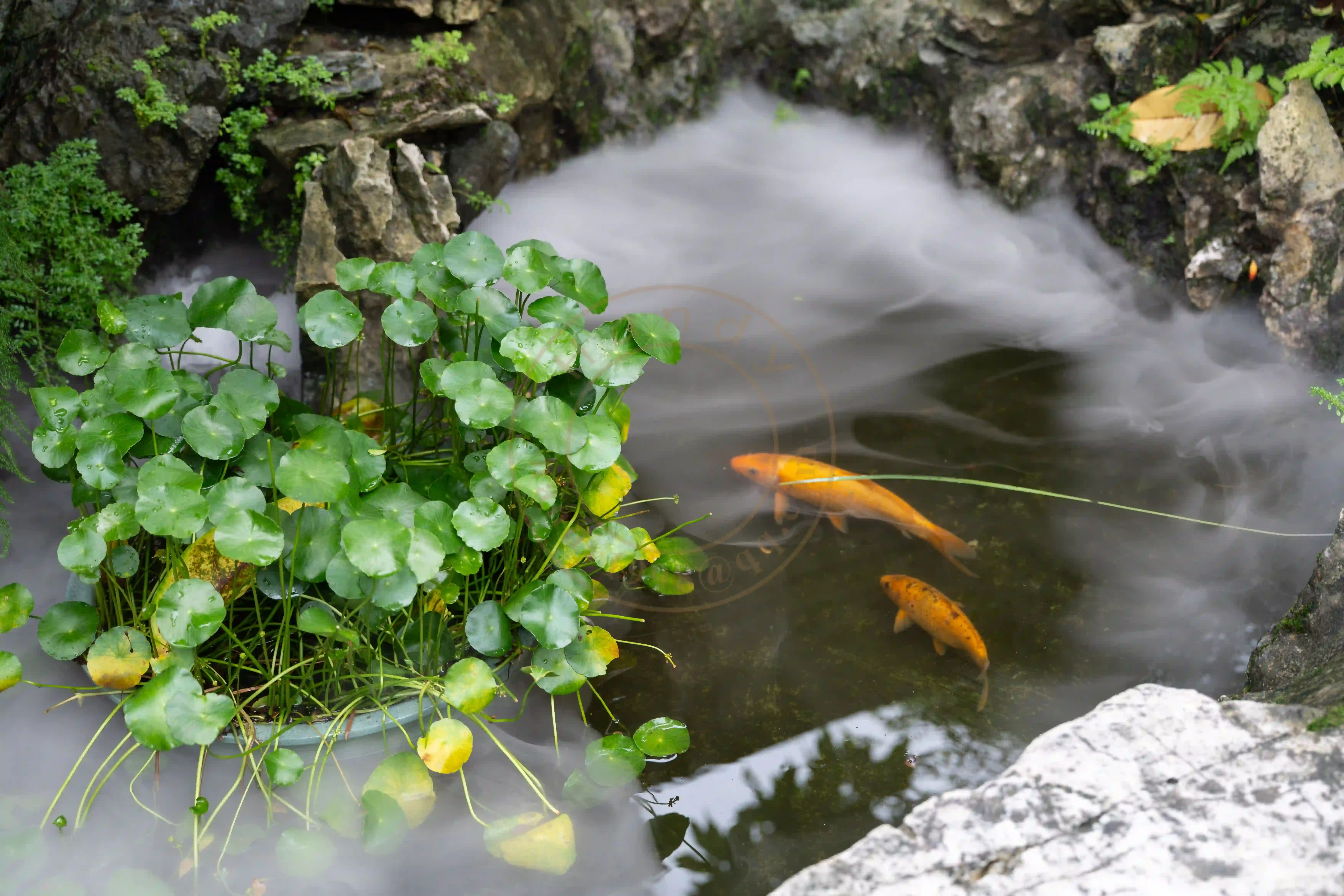 <h2 class='text-xl text-white'></h2>