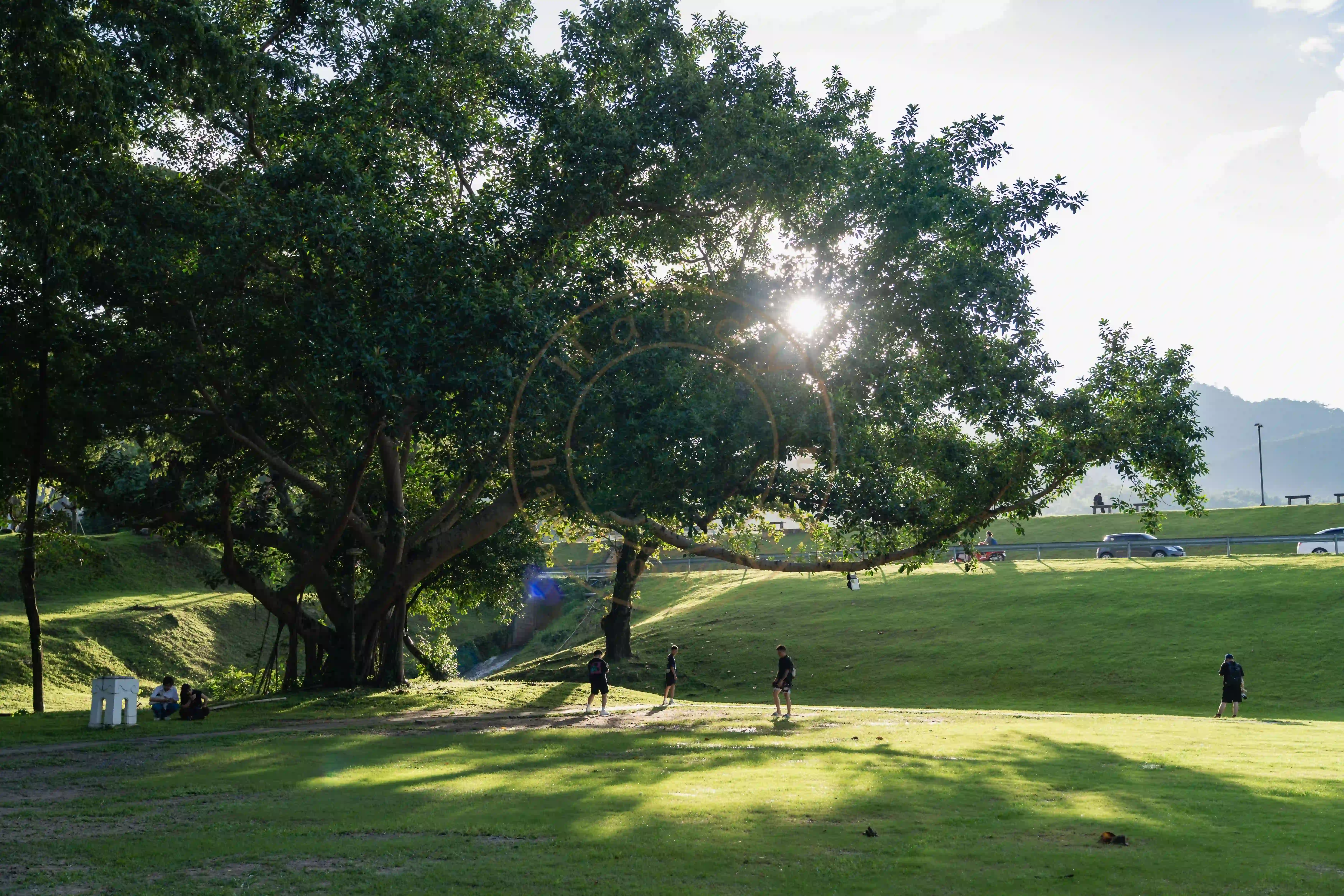 🎓 清迈大学和契迪龙寺