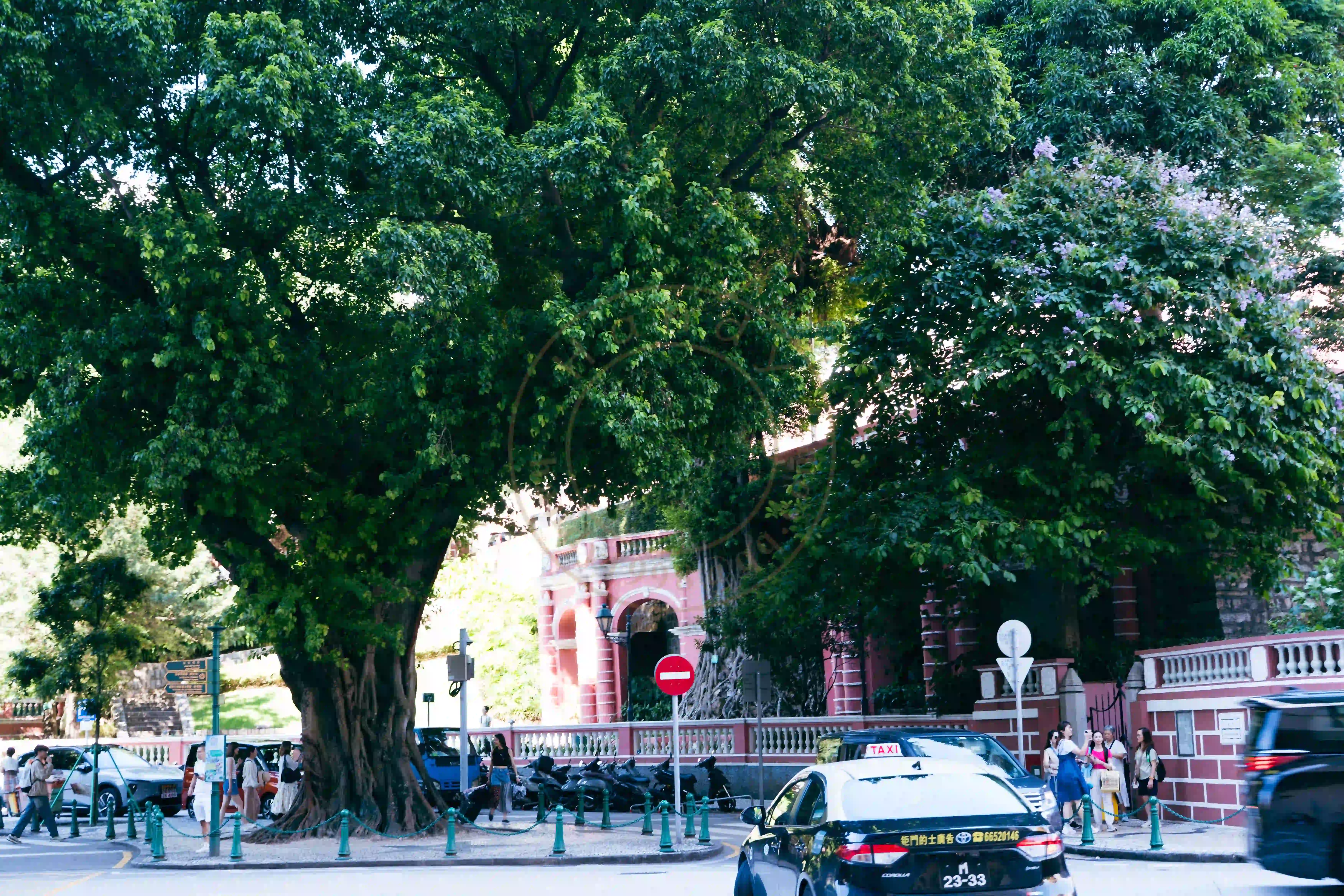 <h2 class='text-xl text-white'></h2>