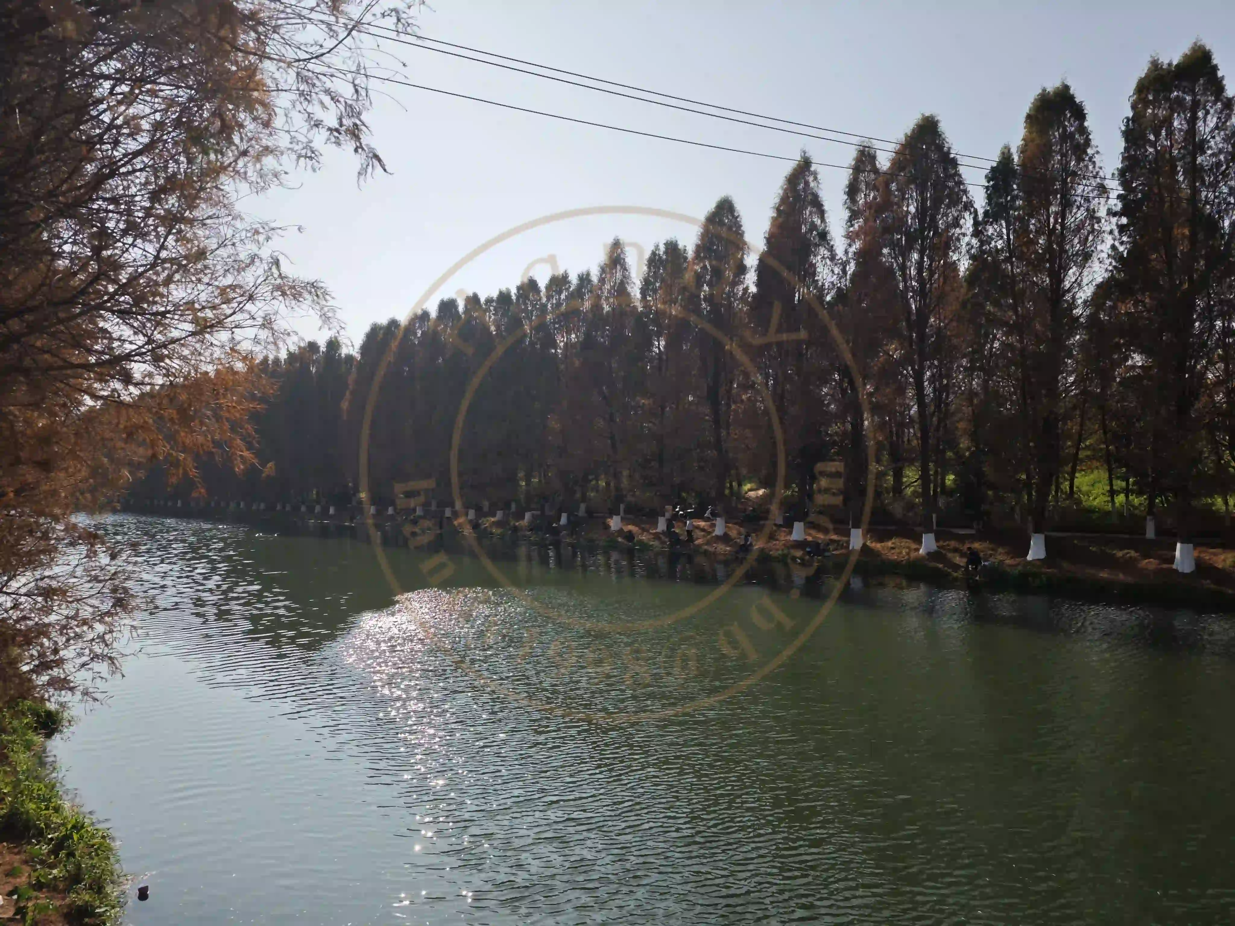 <h2 class='text-xl text-white'></h2>