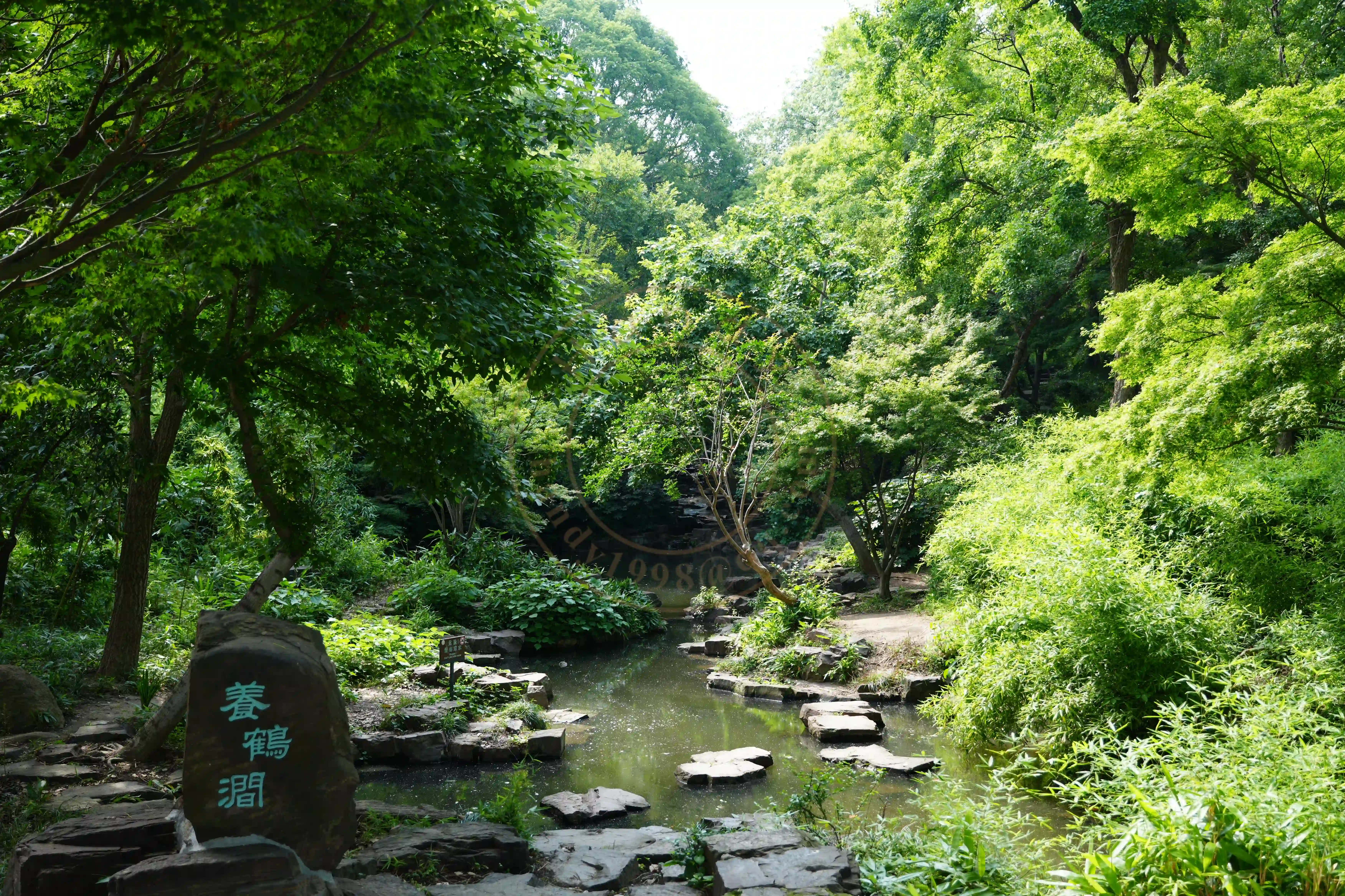 <h2 class='text-xl text-white'></h2>