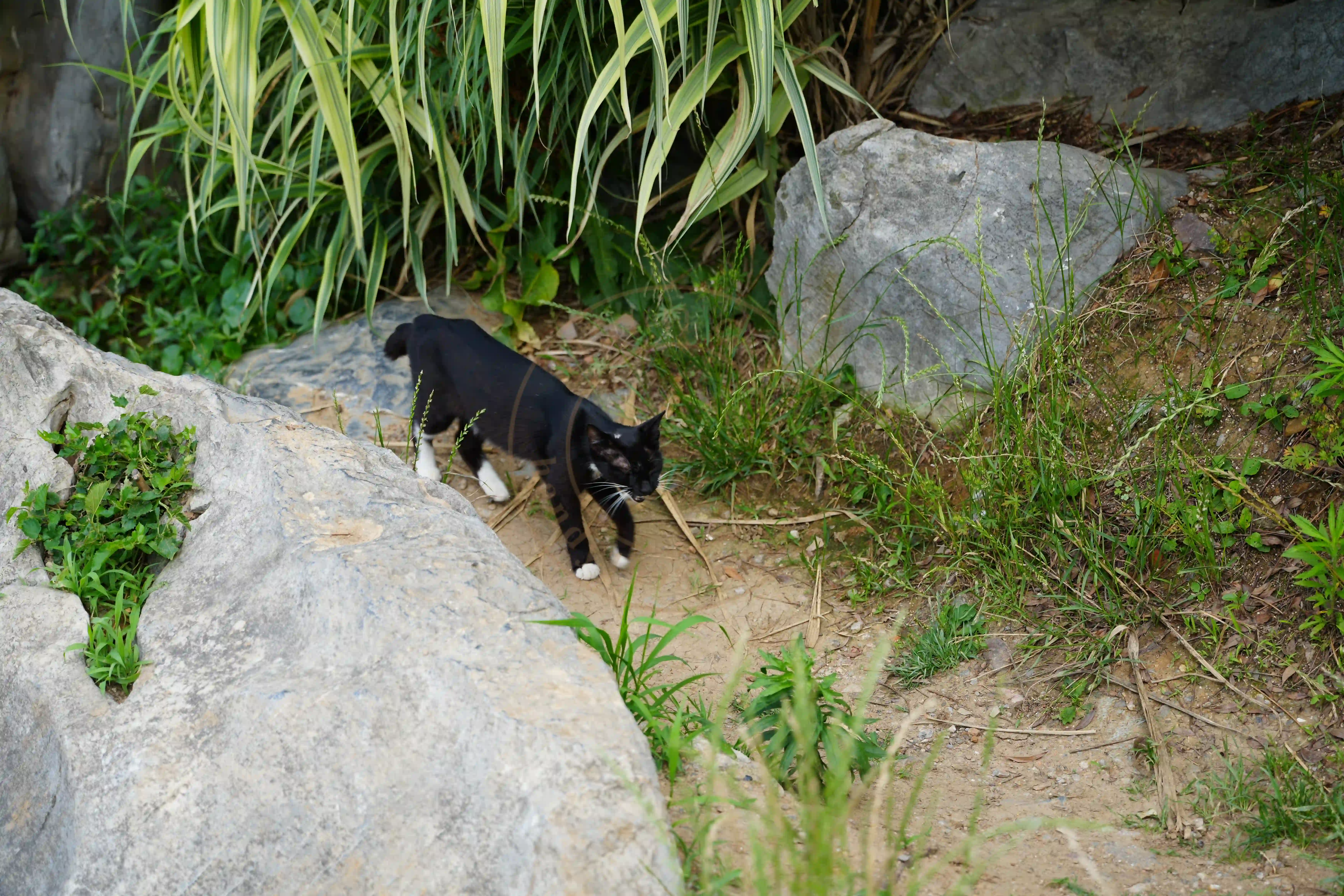 <h2 class='text-xl text-white'></h2>