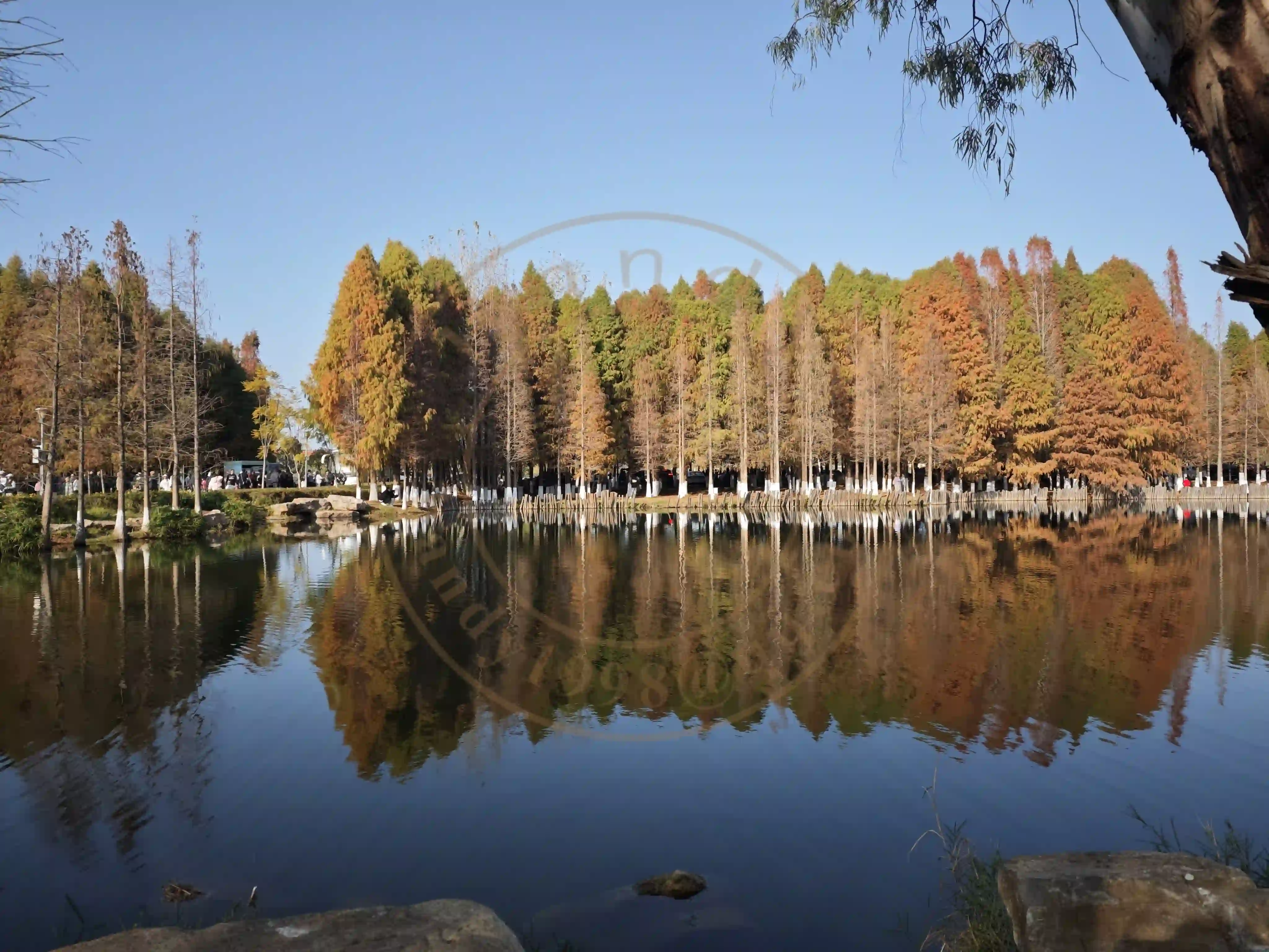 <h2 class='text-xl text-white'></h2>