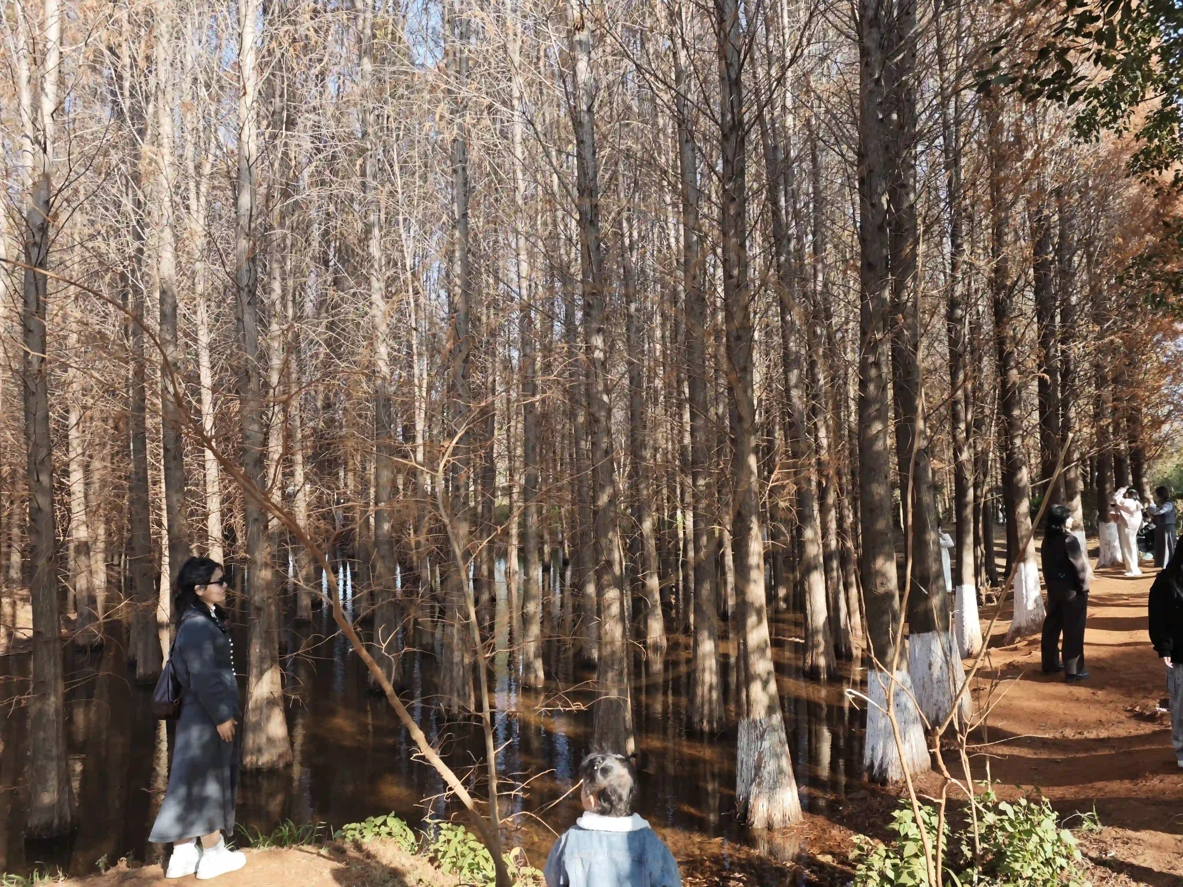 <h2 class='text-xl text-white'></h2>