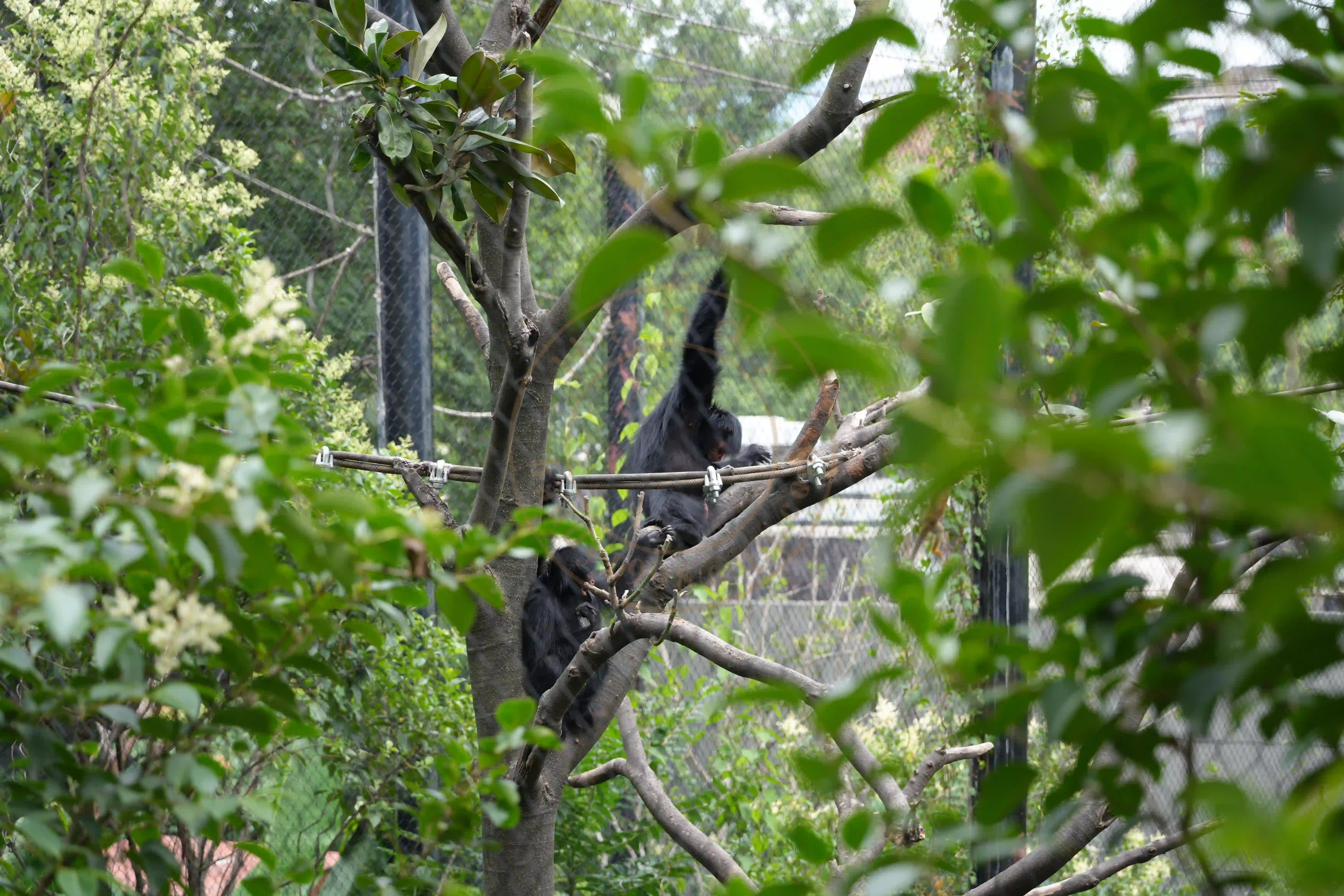 <h2 class='text-xl text-white'></h2>