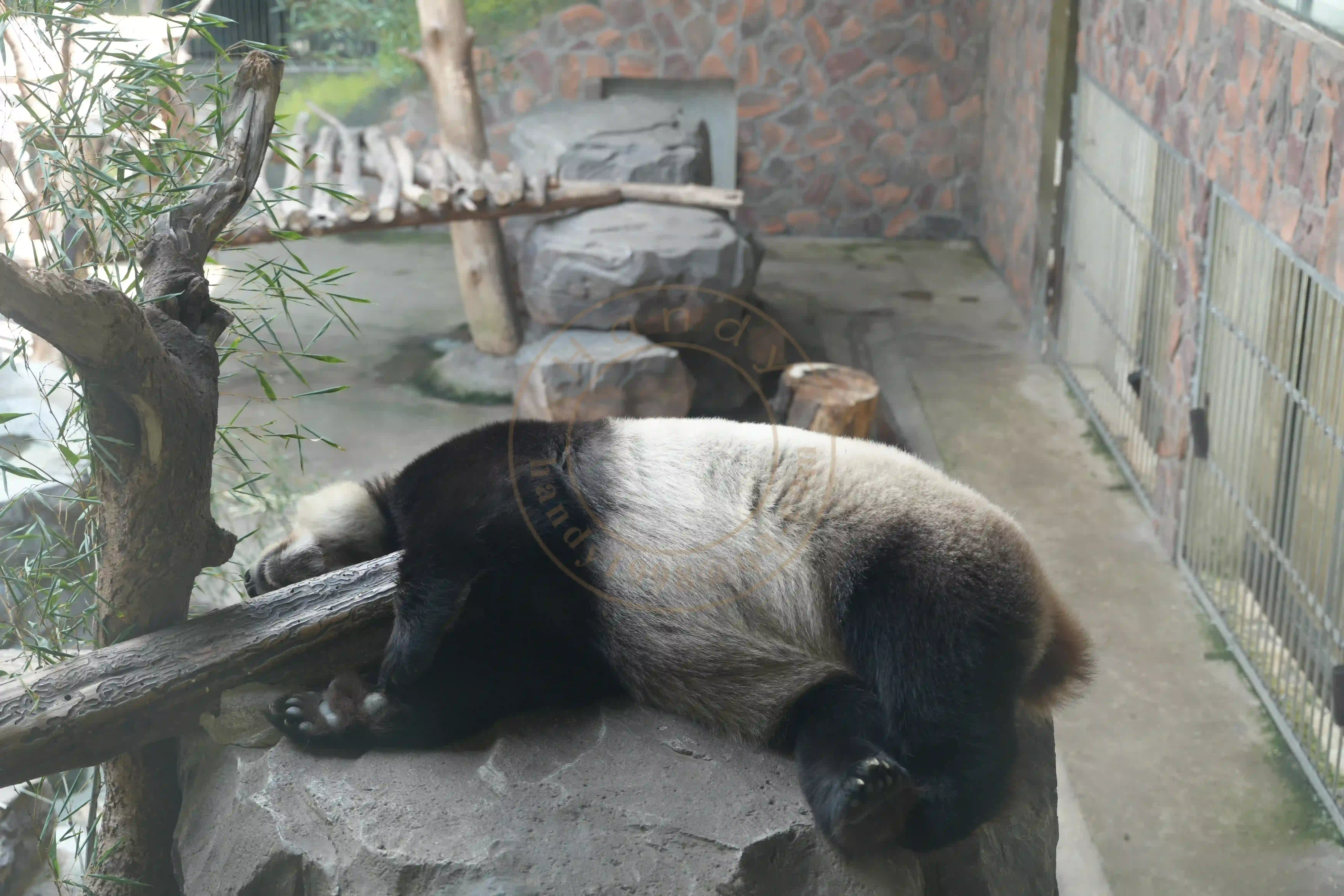 <h2 class='text-xl text-white'></h2>