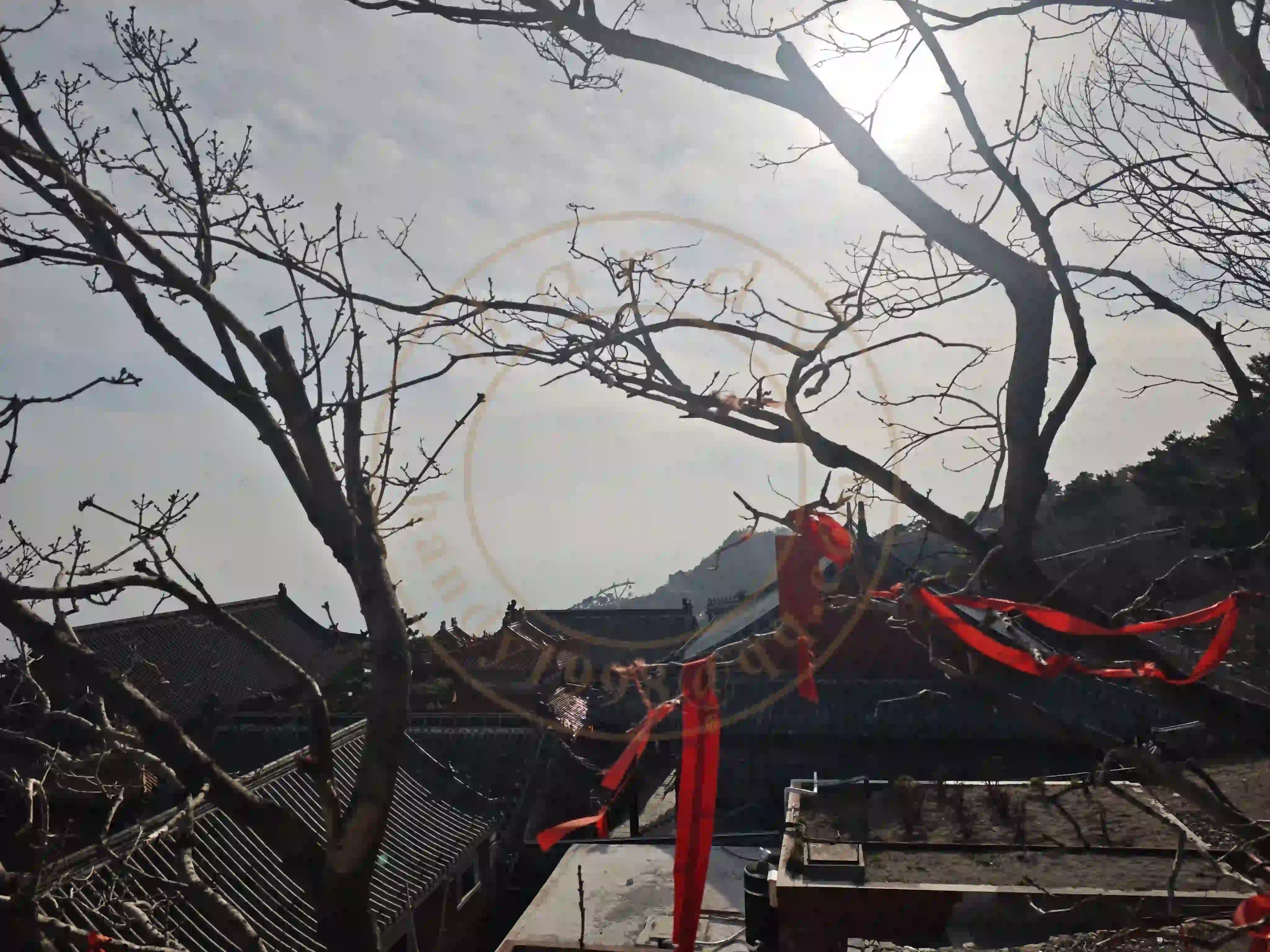 <h2 class='text-xl text-white'></h2>