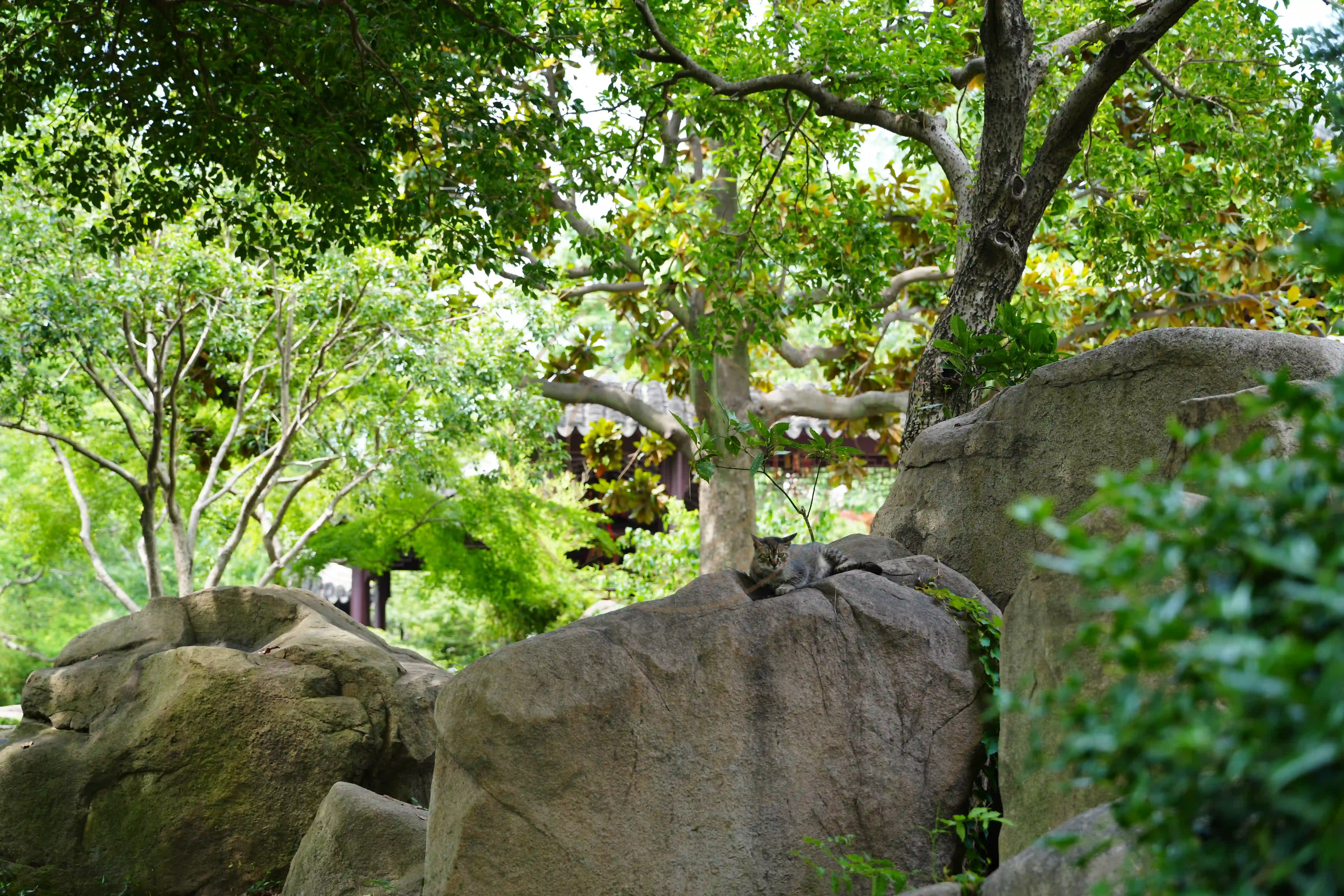 <h2 class='text-xl text-white'></h2>