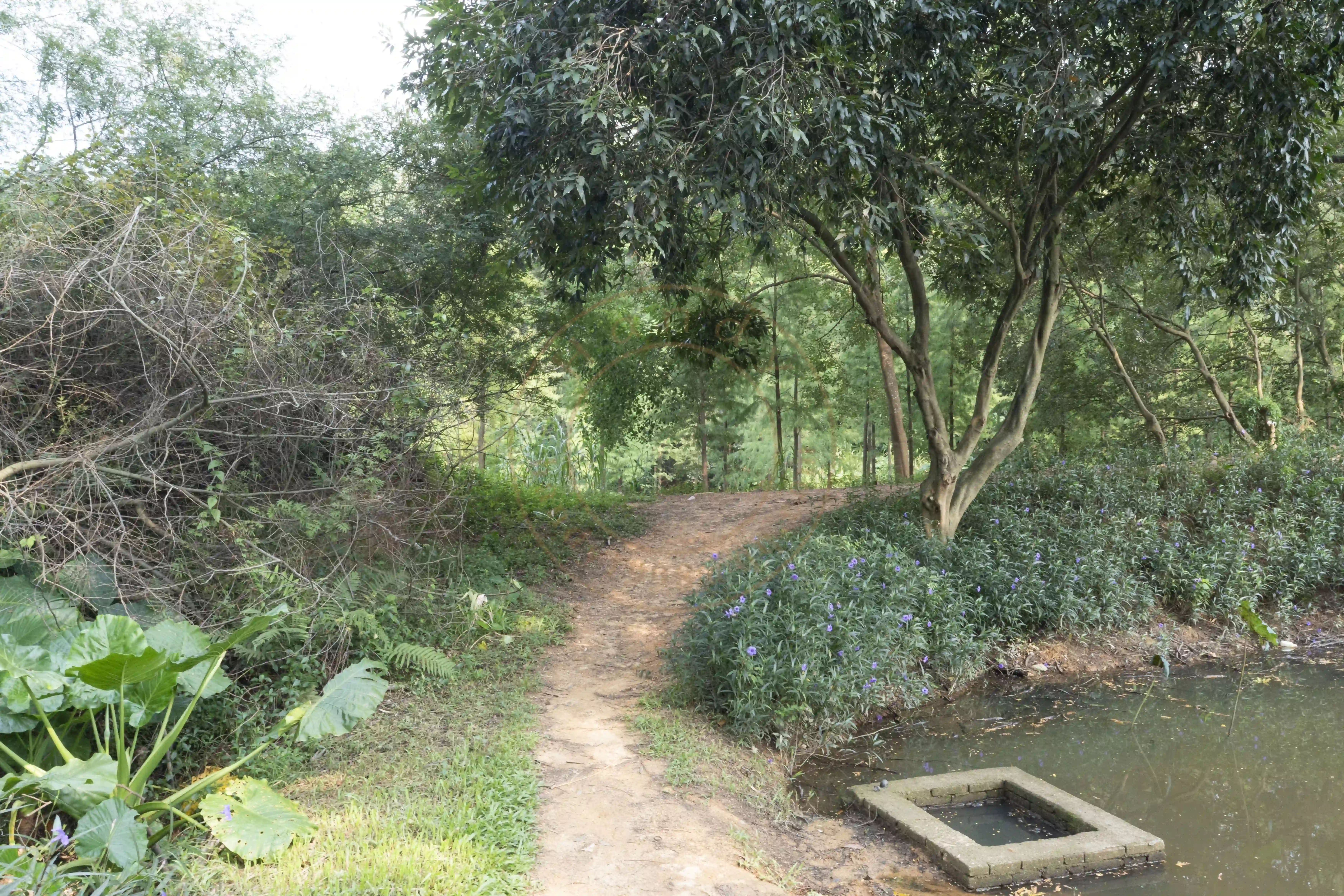 <h2 class='text-xl text-white'></h2>