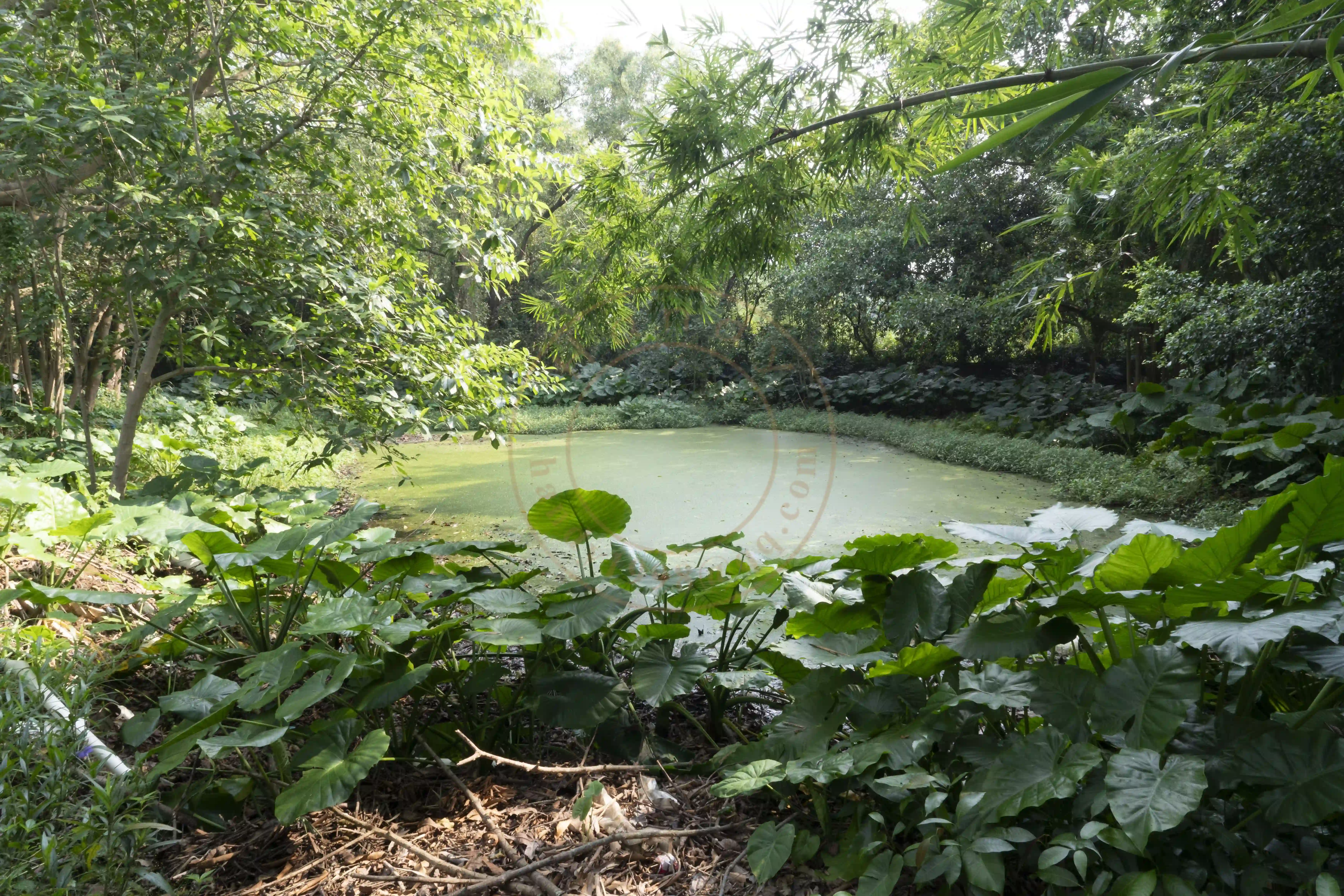 <h2 class='text-xl text-white'></h2>