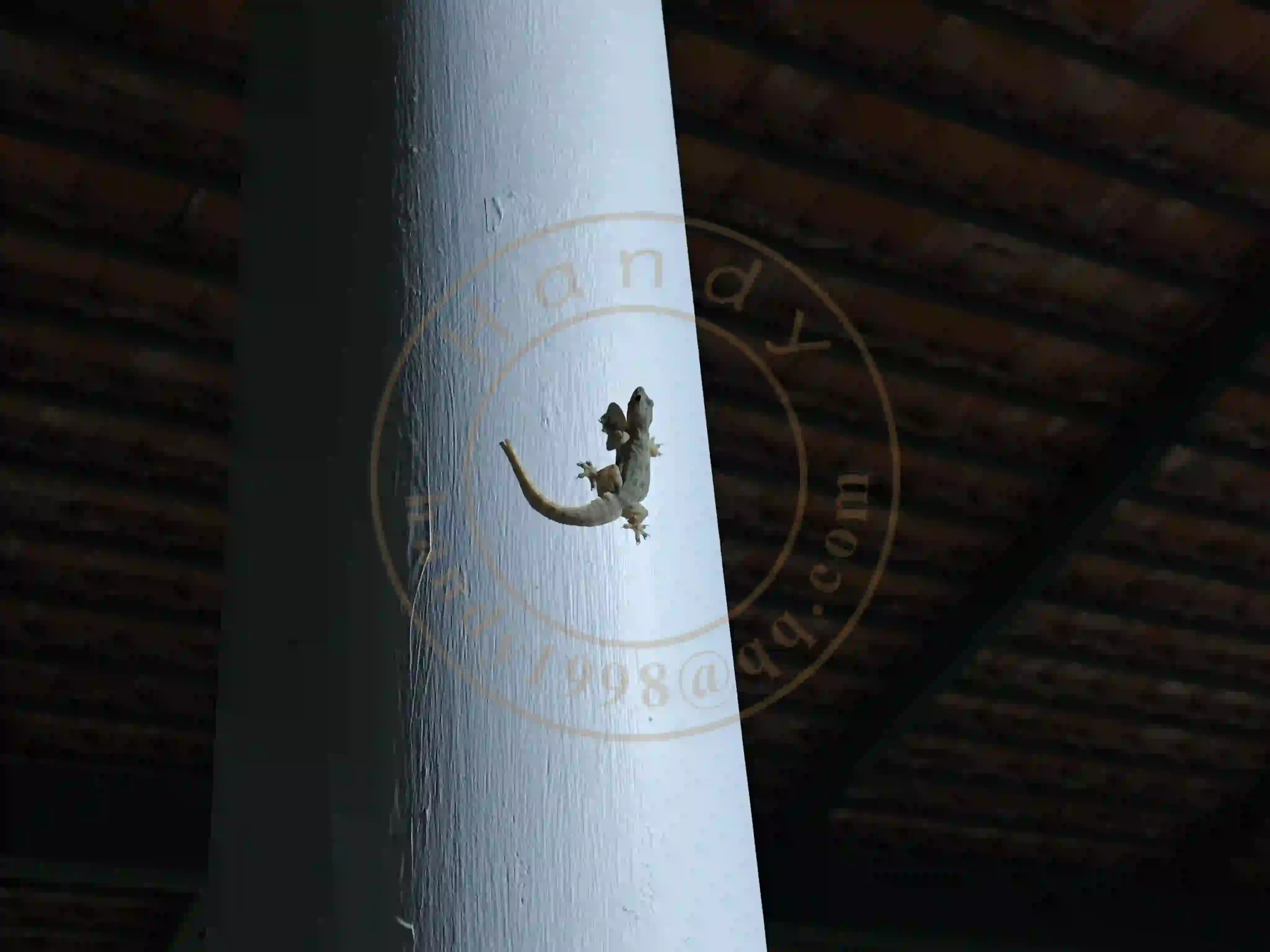 <h2 class='text-xl text-white'></h2>