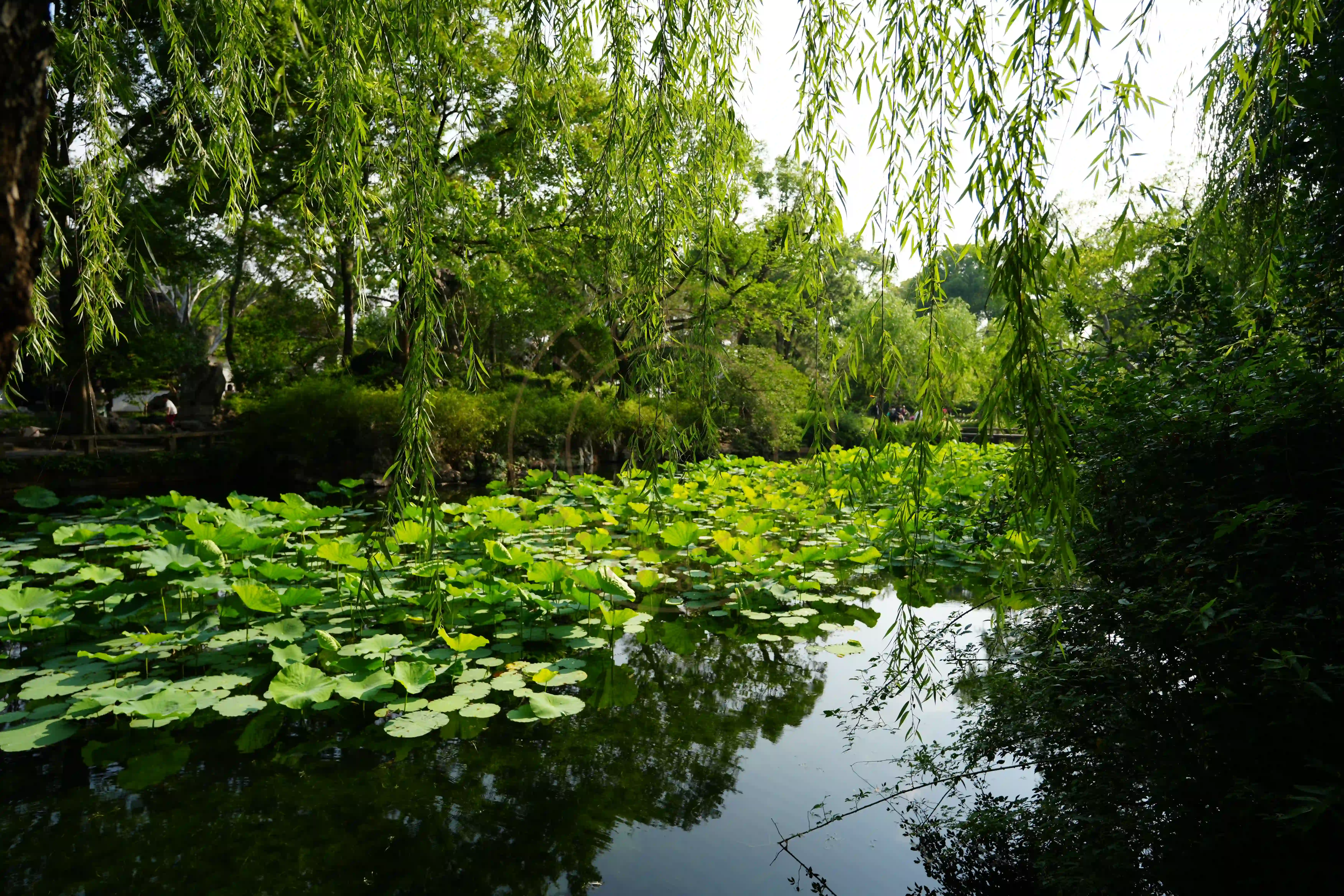 <h2 class='text-xl text-white'></h2>