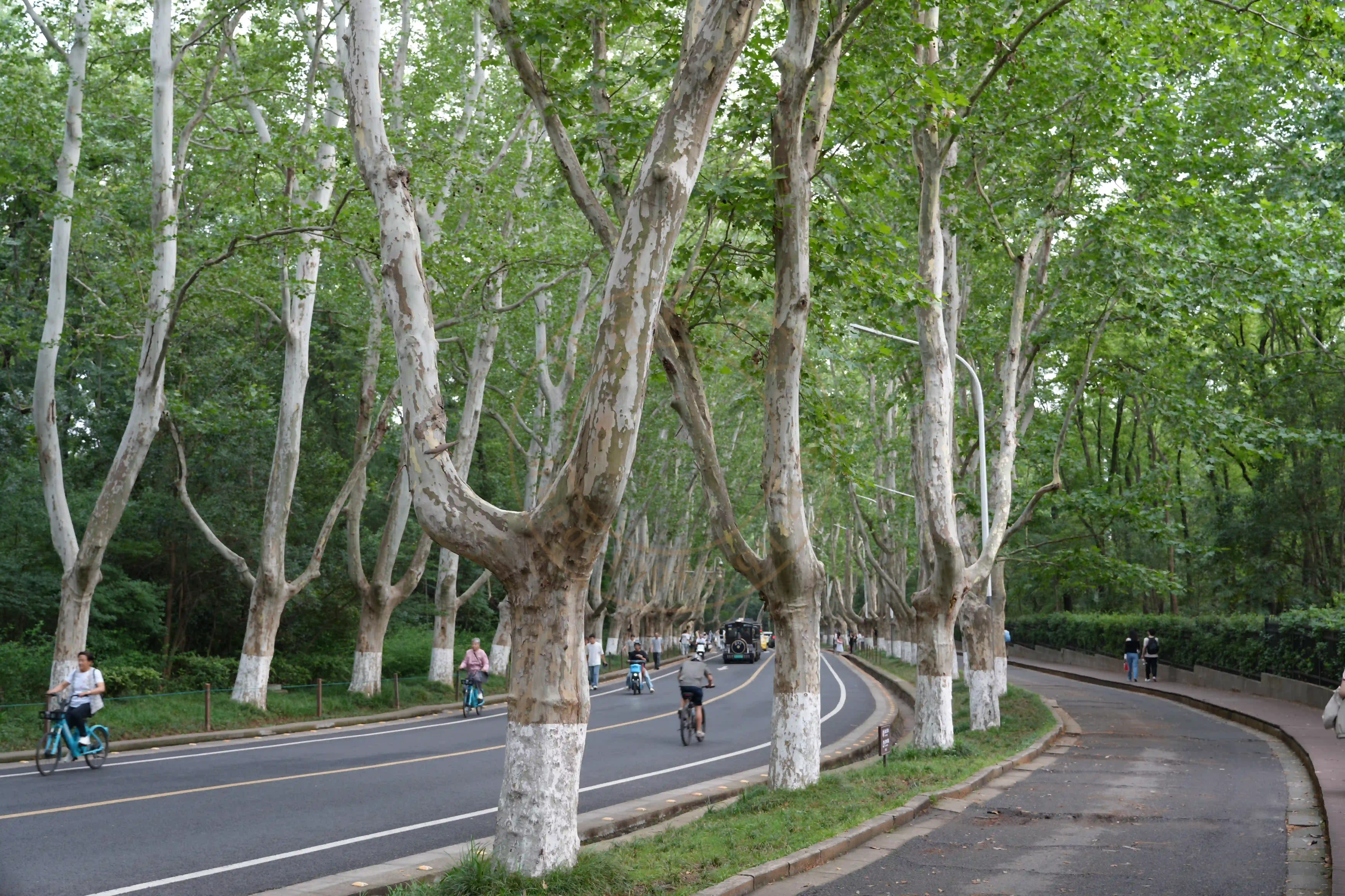 <h2 class='text-xl text-white'></h2>