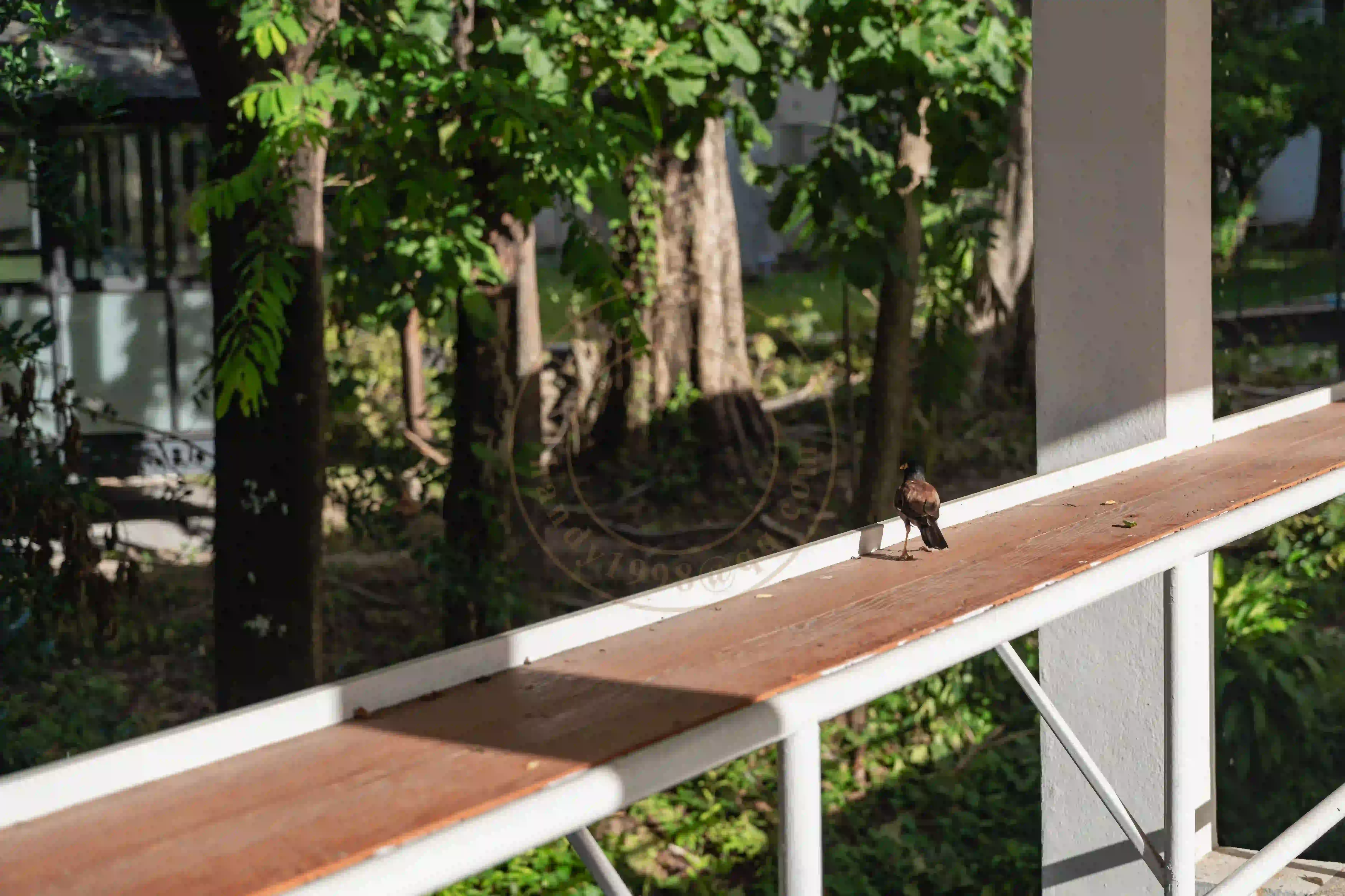 <h2 class='text-xl text-white'></h2>